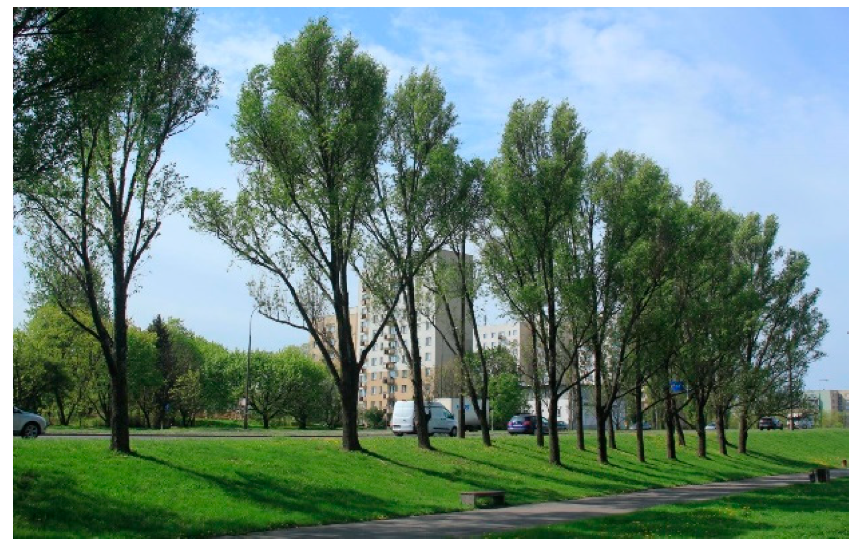 Preprints 99974 g002