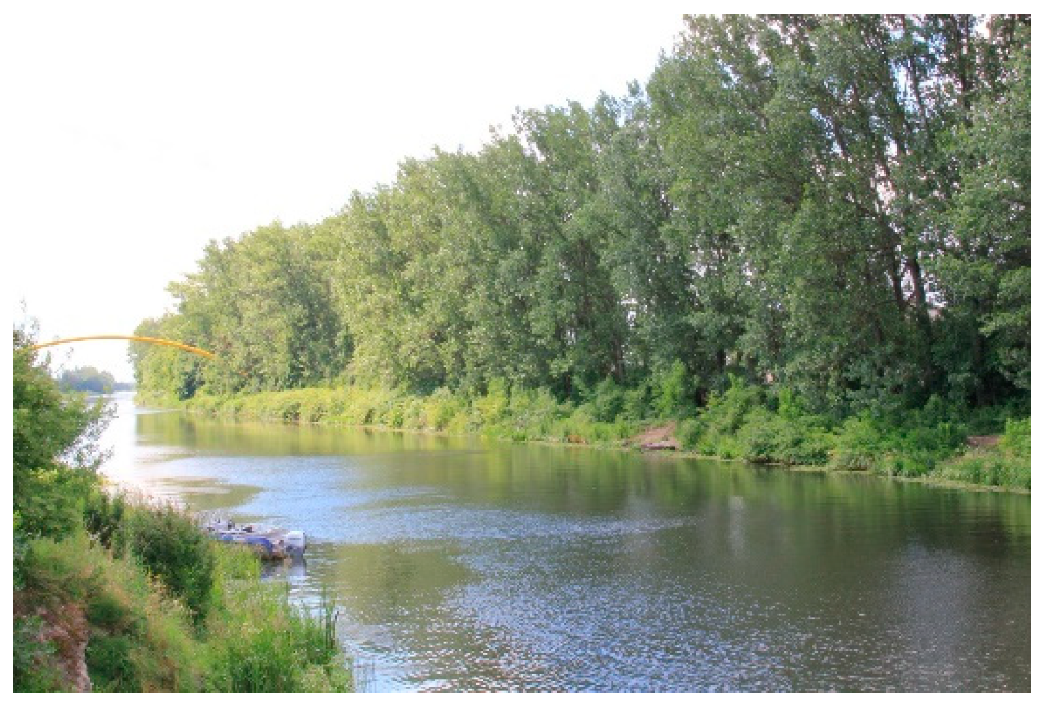 Preprints 99974 g003