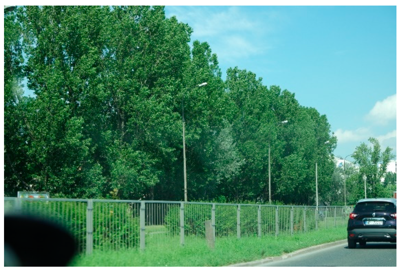 Preprints 99974 g004