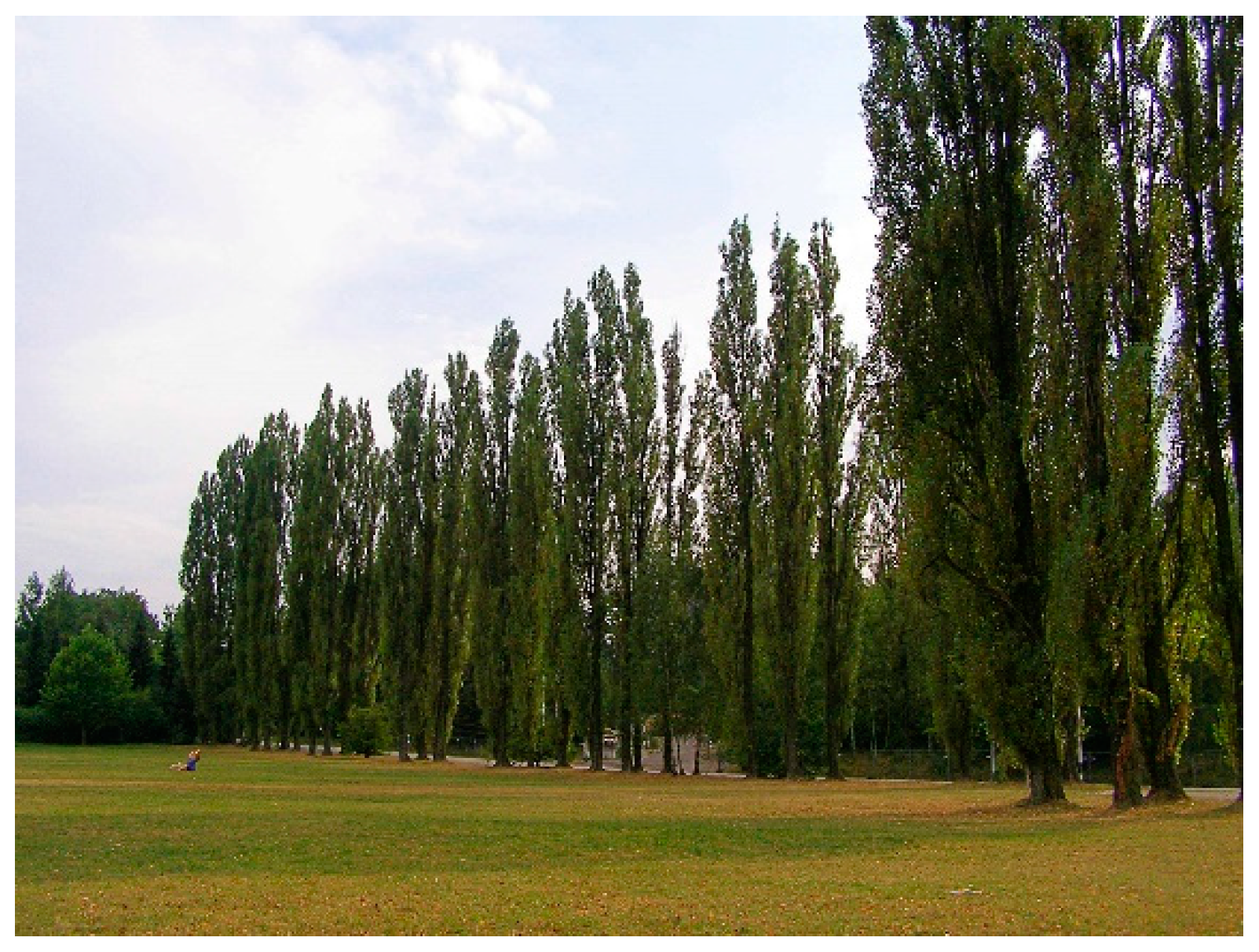 Preprints 99974 g005