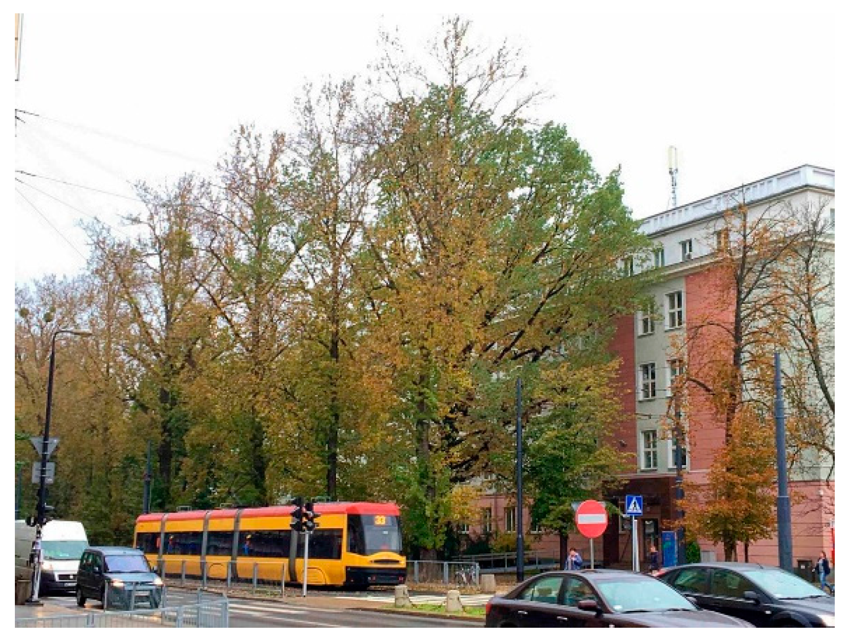 Preprints 99974 g006