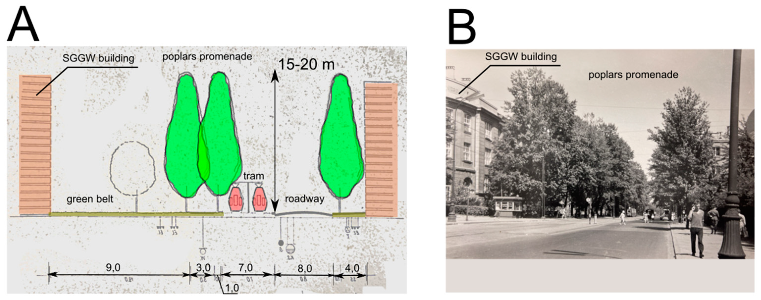 Preprints 99974 g007