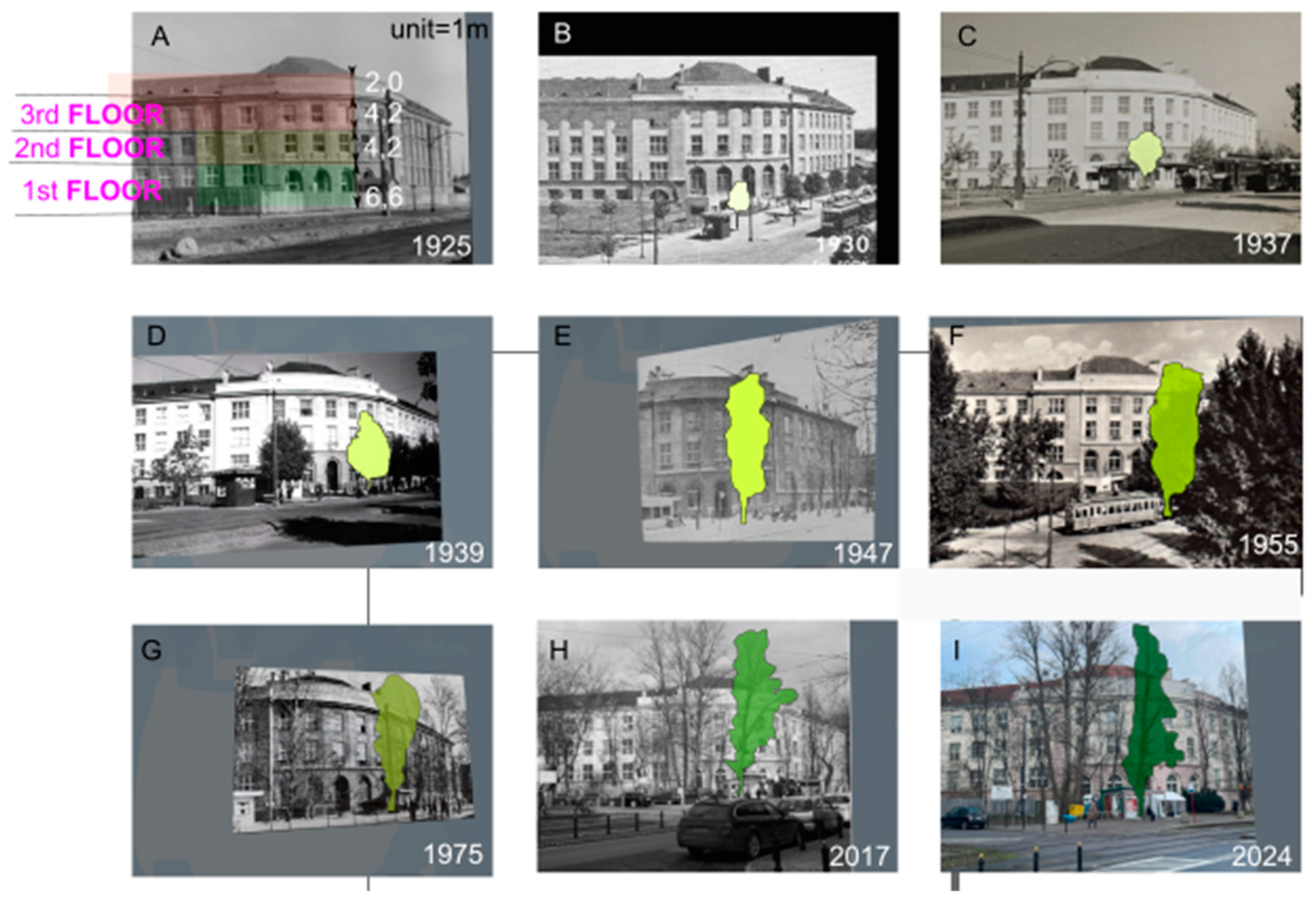 Preprints 99974 g008