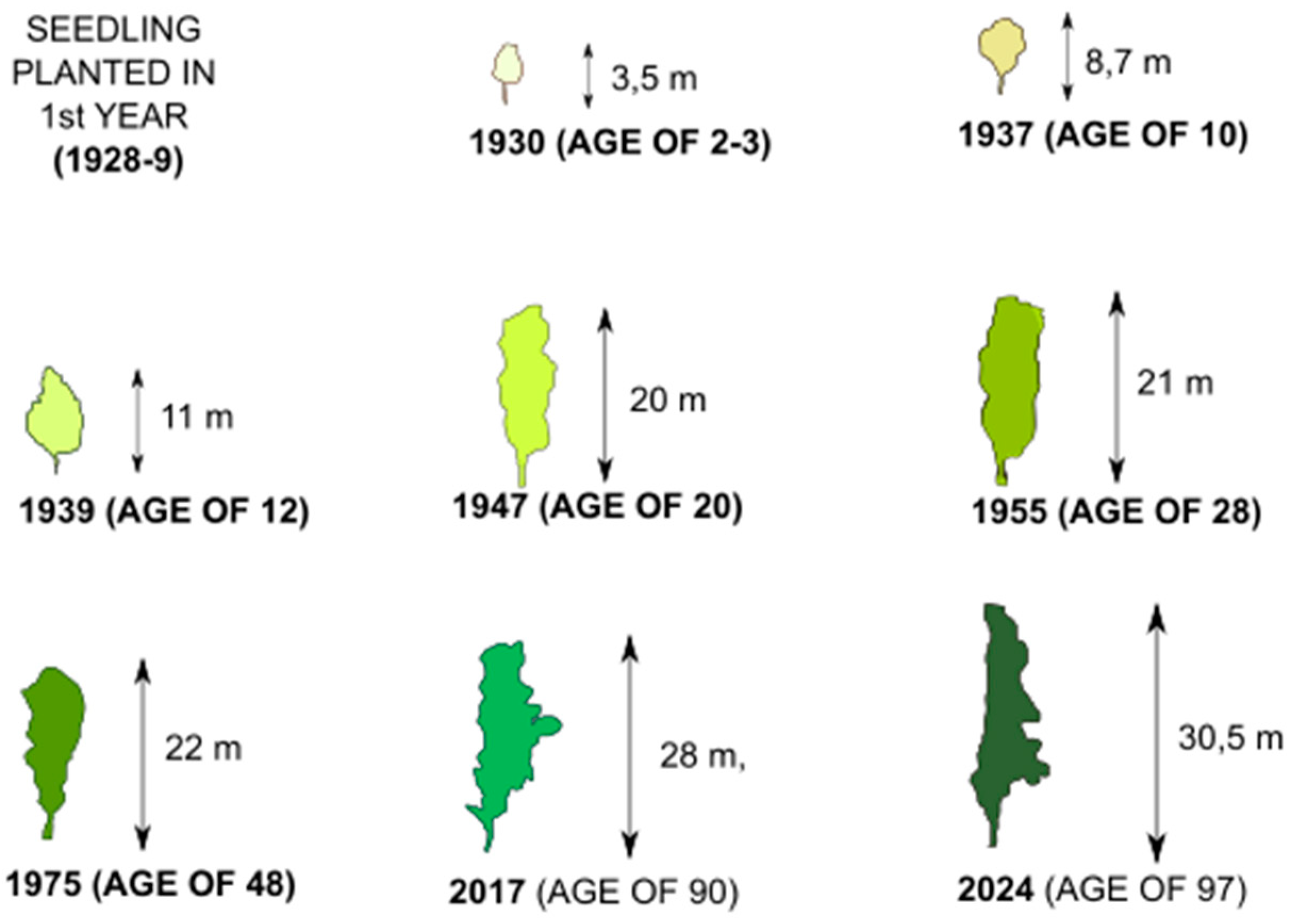 Preprints 99974 g009