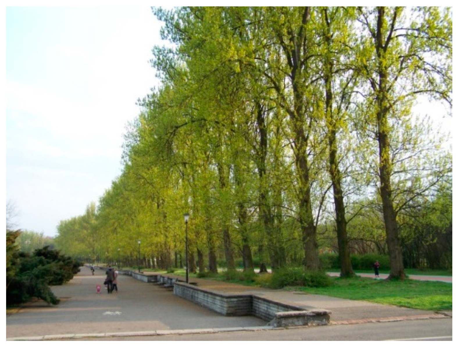 Preprints 99974 g010