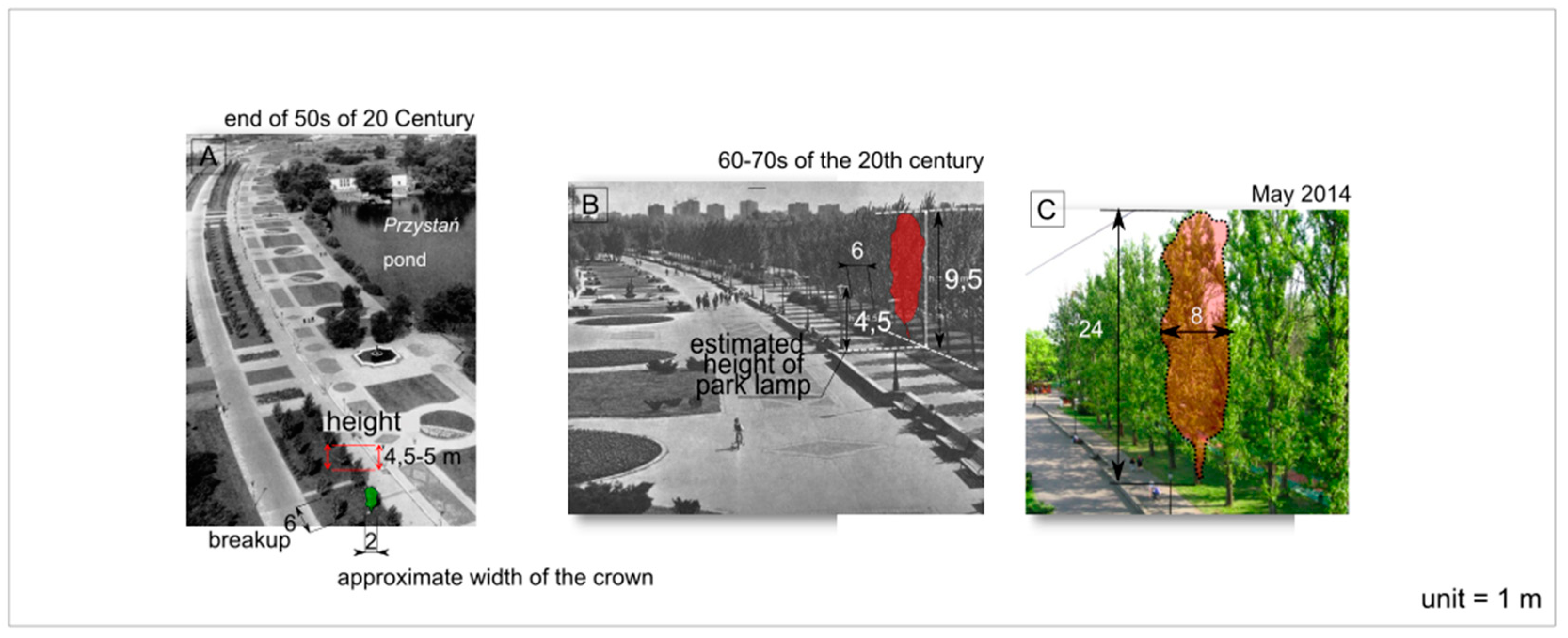 Preprints 99974 g011