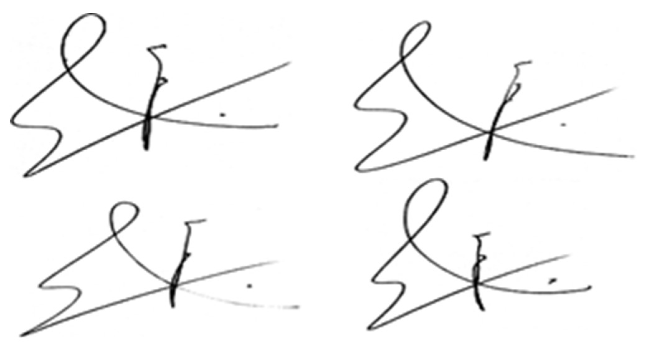 Preprints 160775 g001