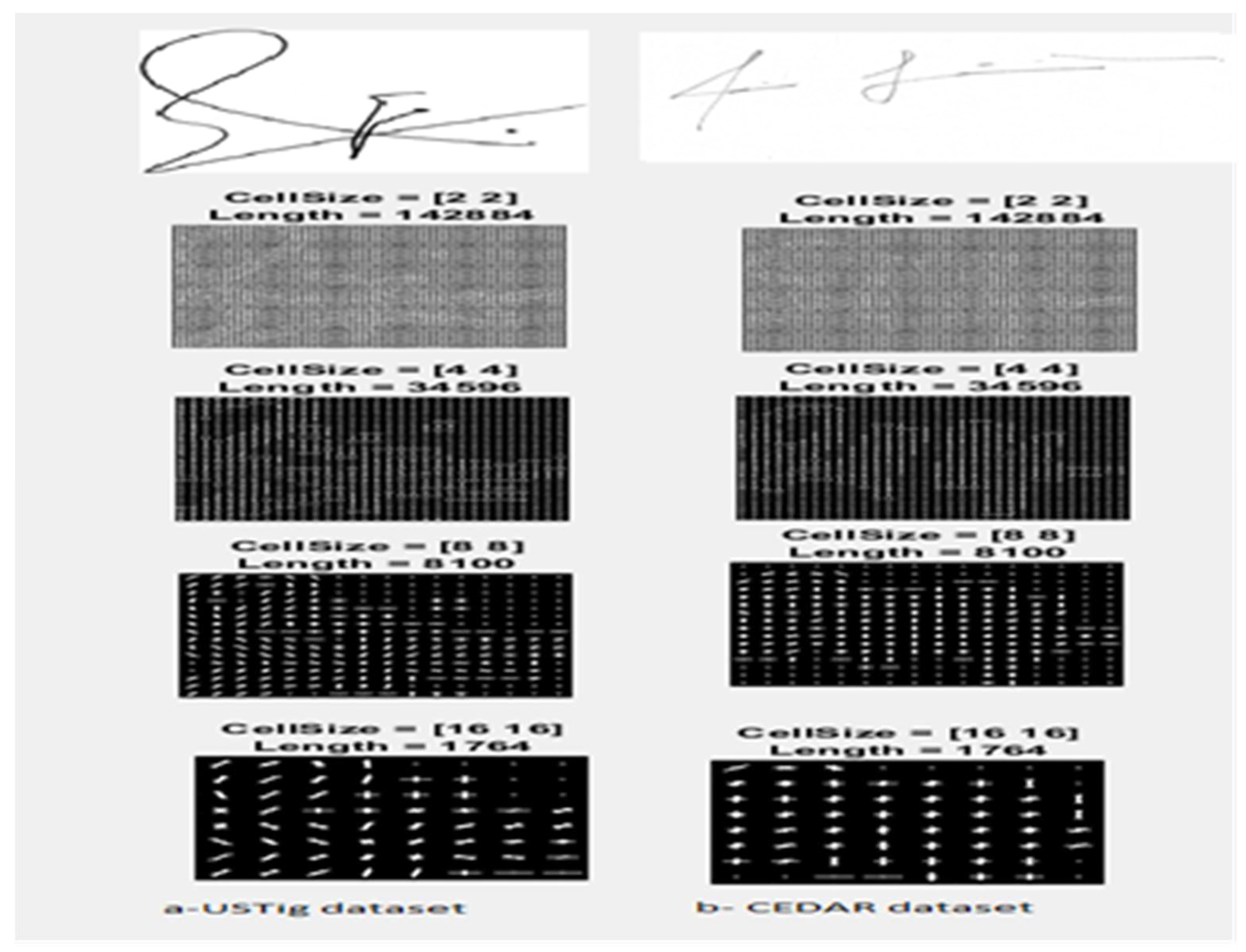 Preprints 160775 g008