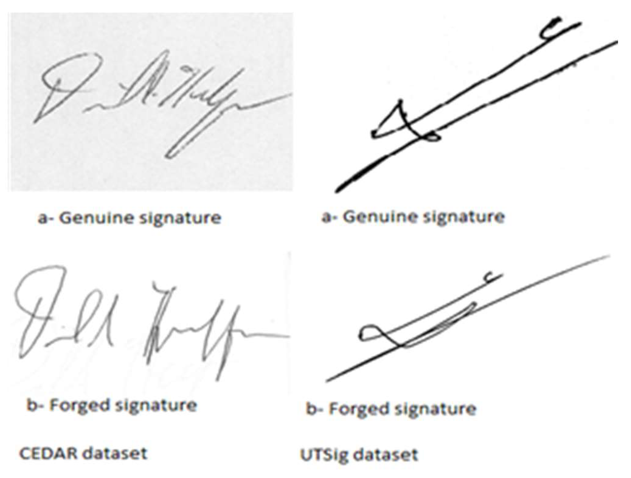 Preprints 160775 g014