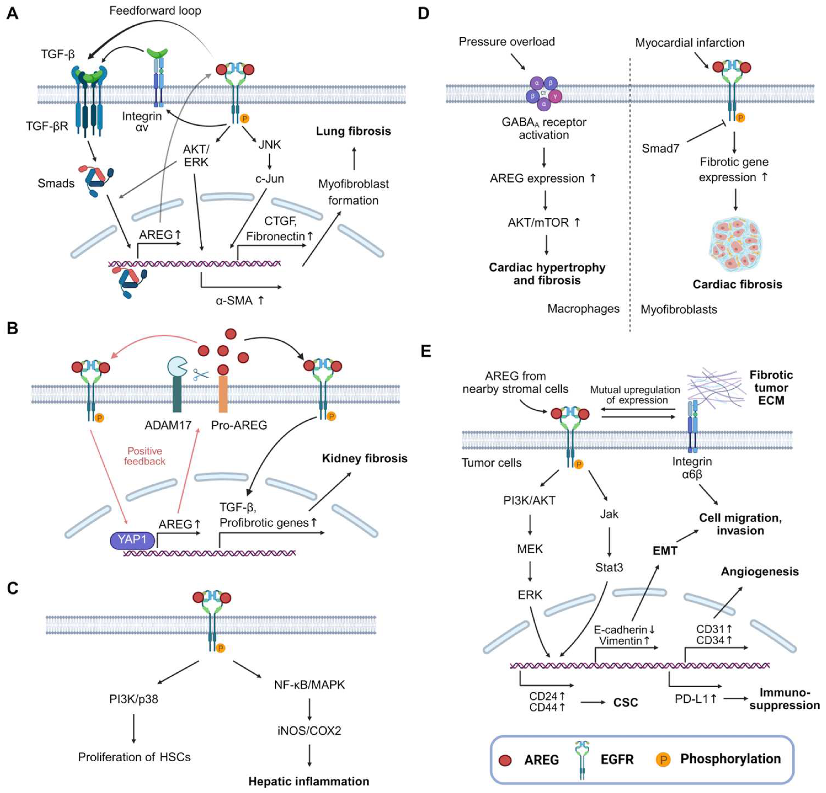 Preprints 163753 g001