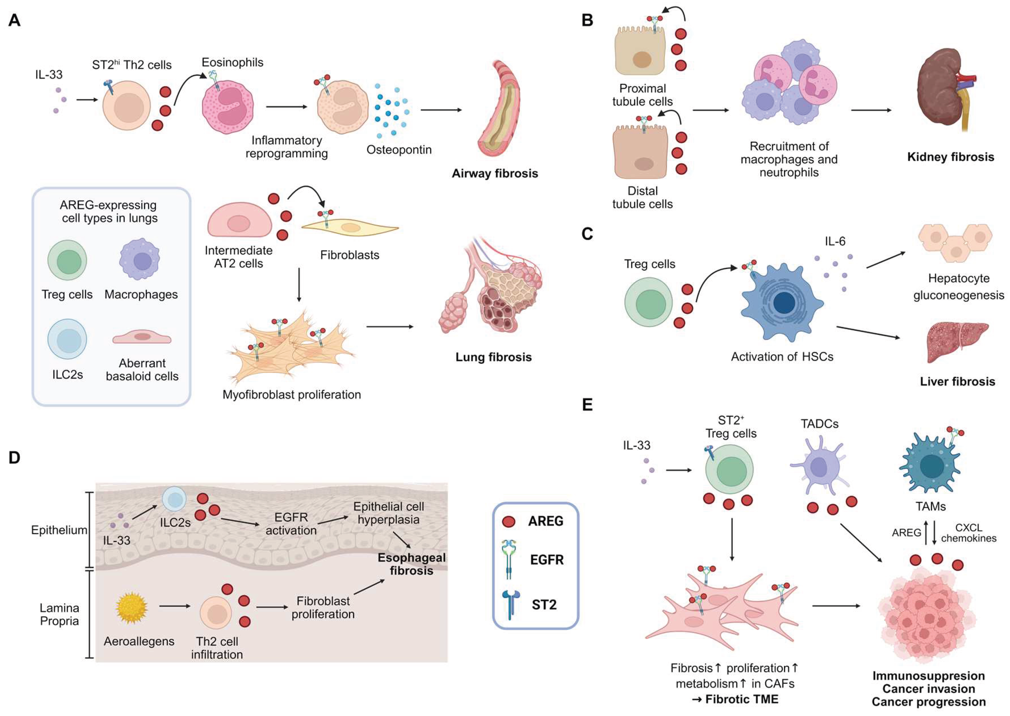 Preprints 163753 g002