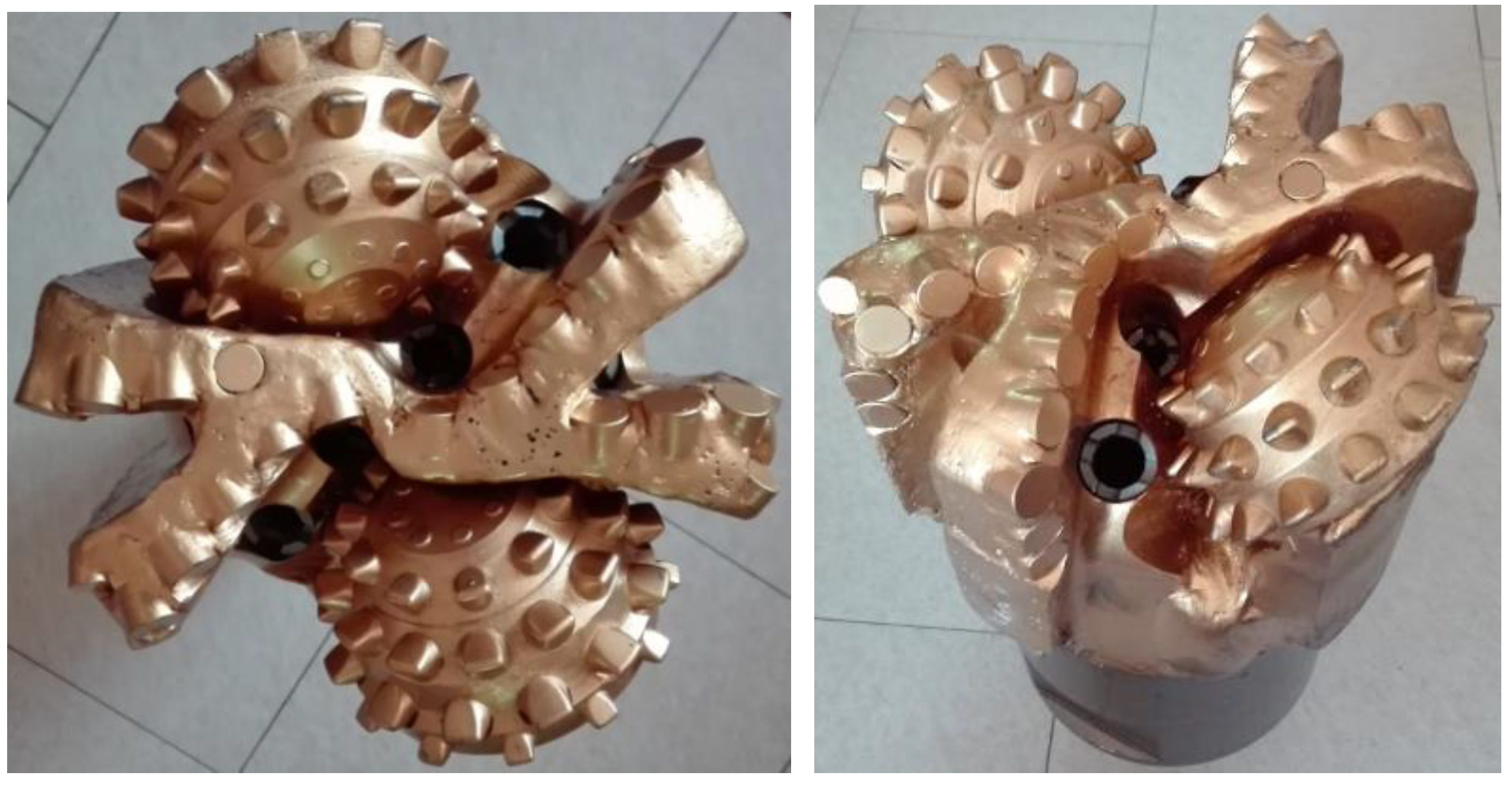 Preprints 114773 g001