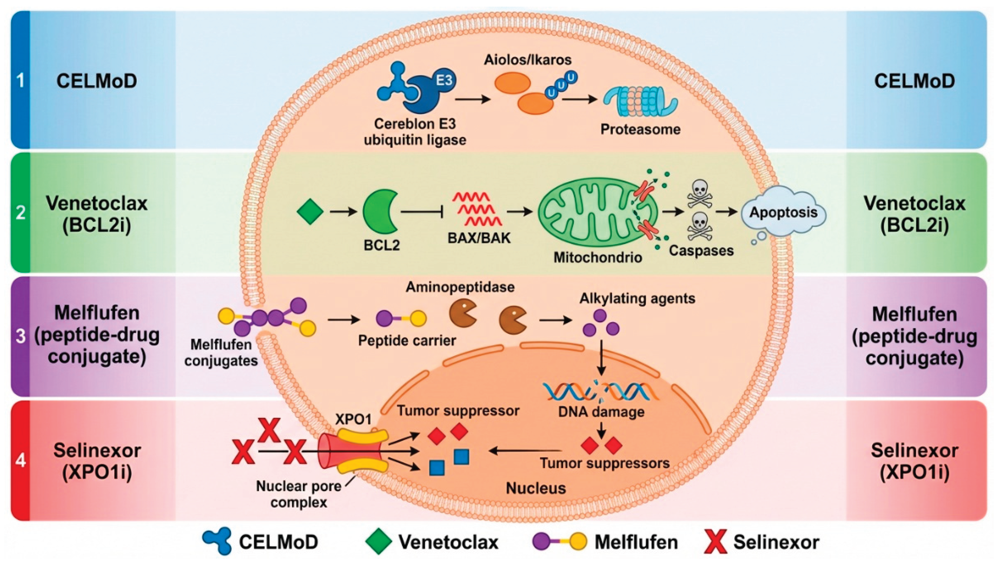 Preprints 208435 g001