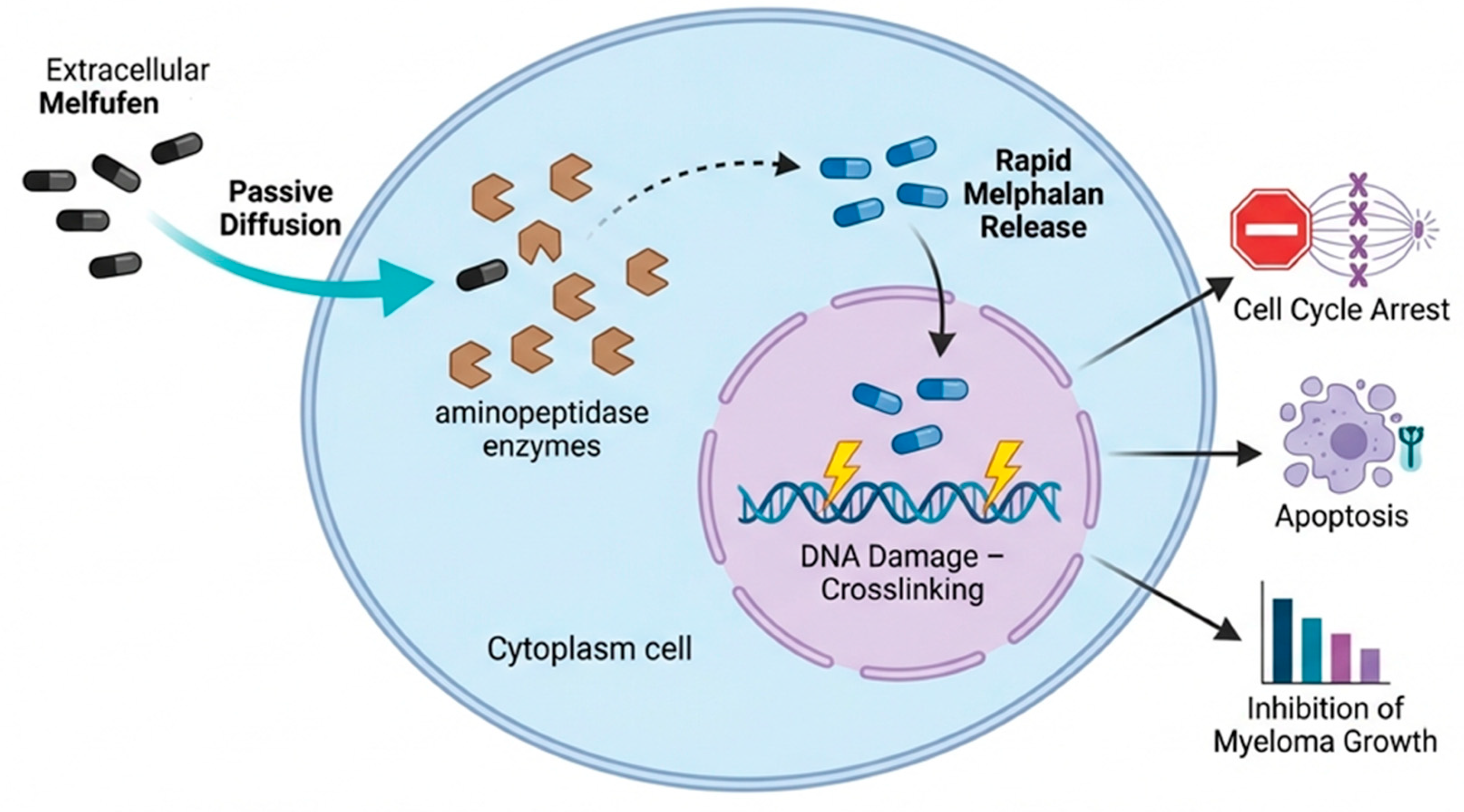 Preprints 208435 g002