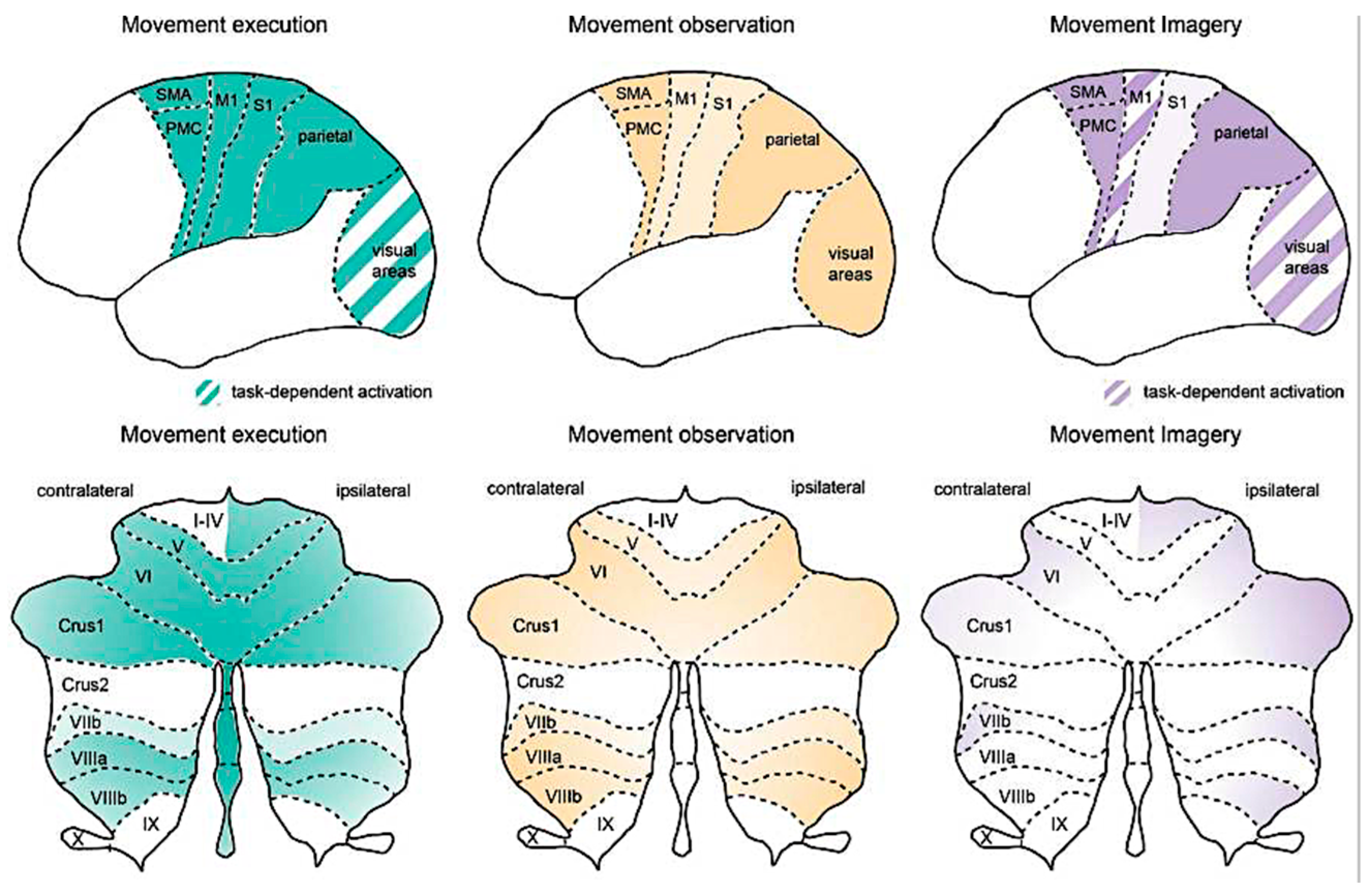 Preprints 144951 g002