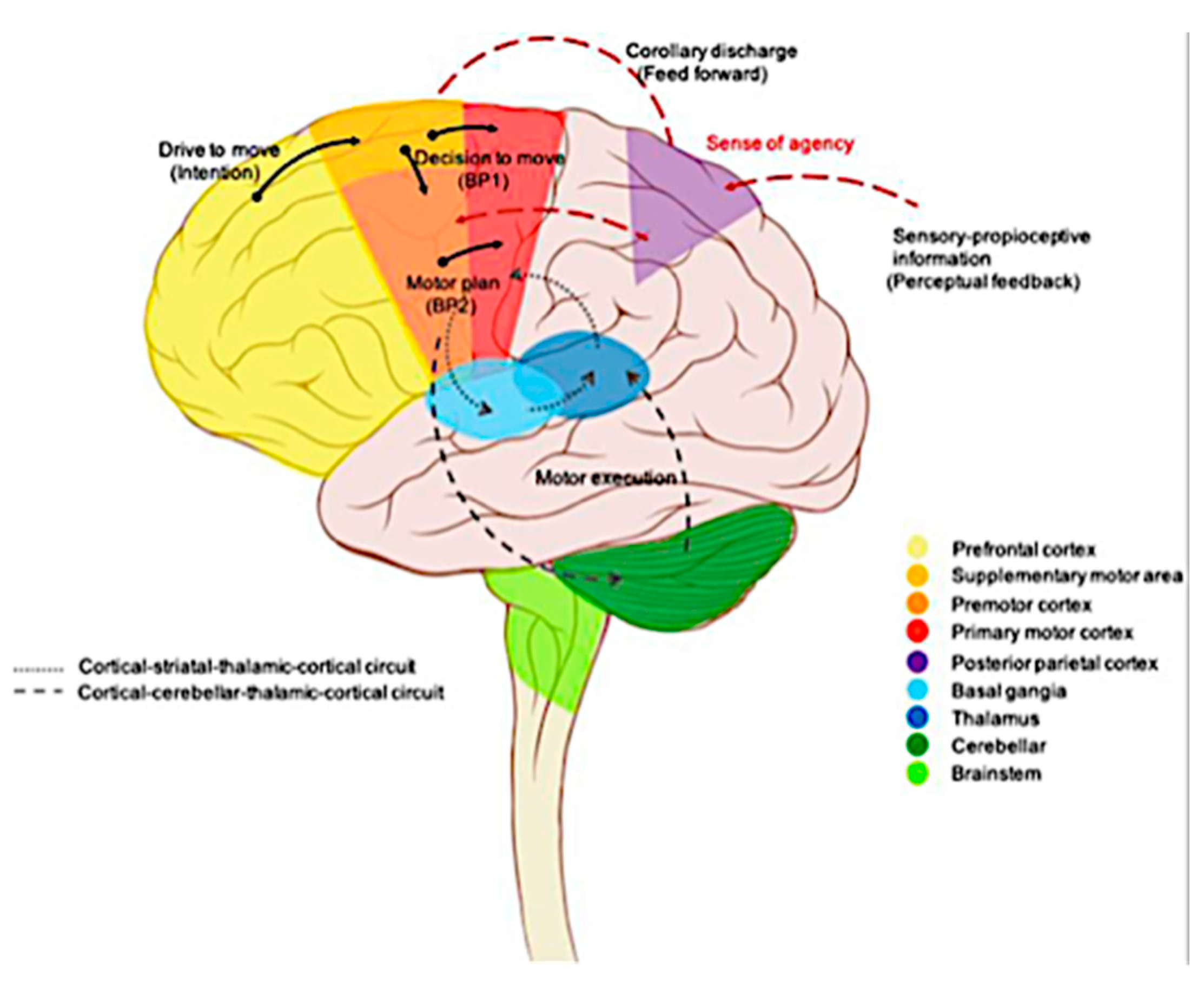 Preprints 144951 g003