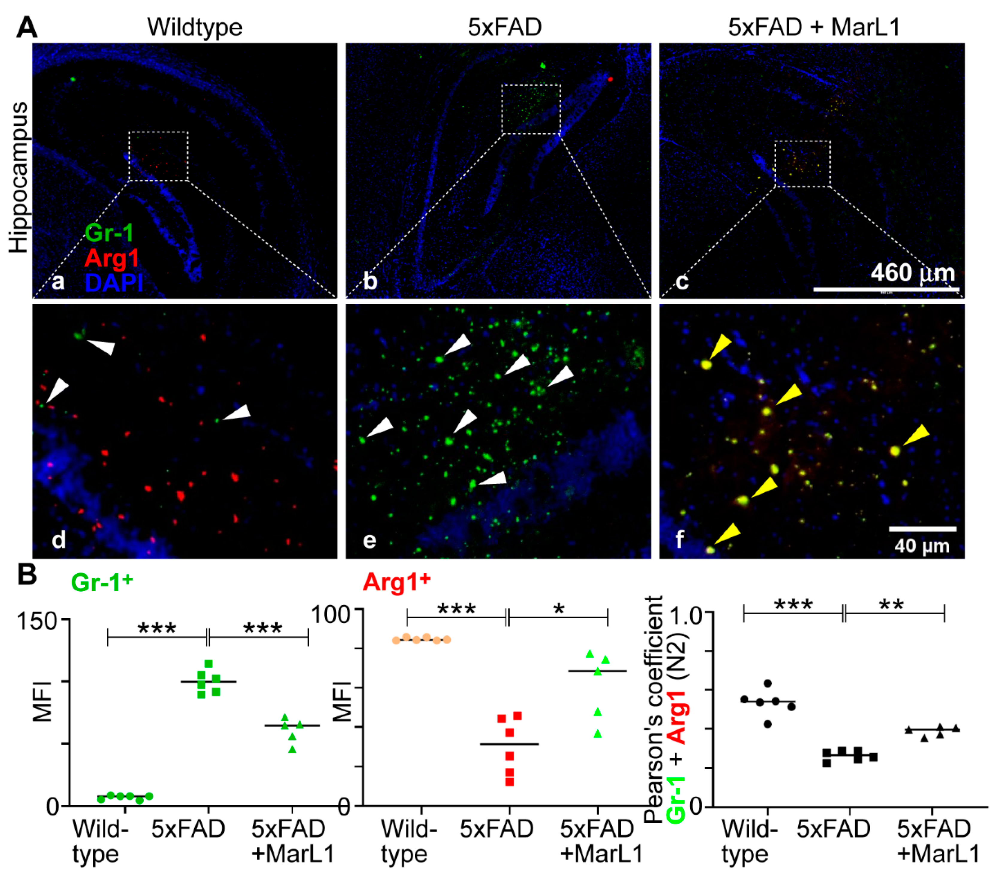 Preprints 111357 g010