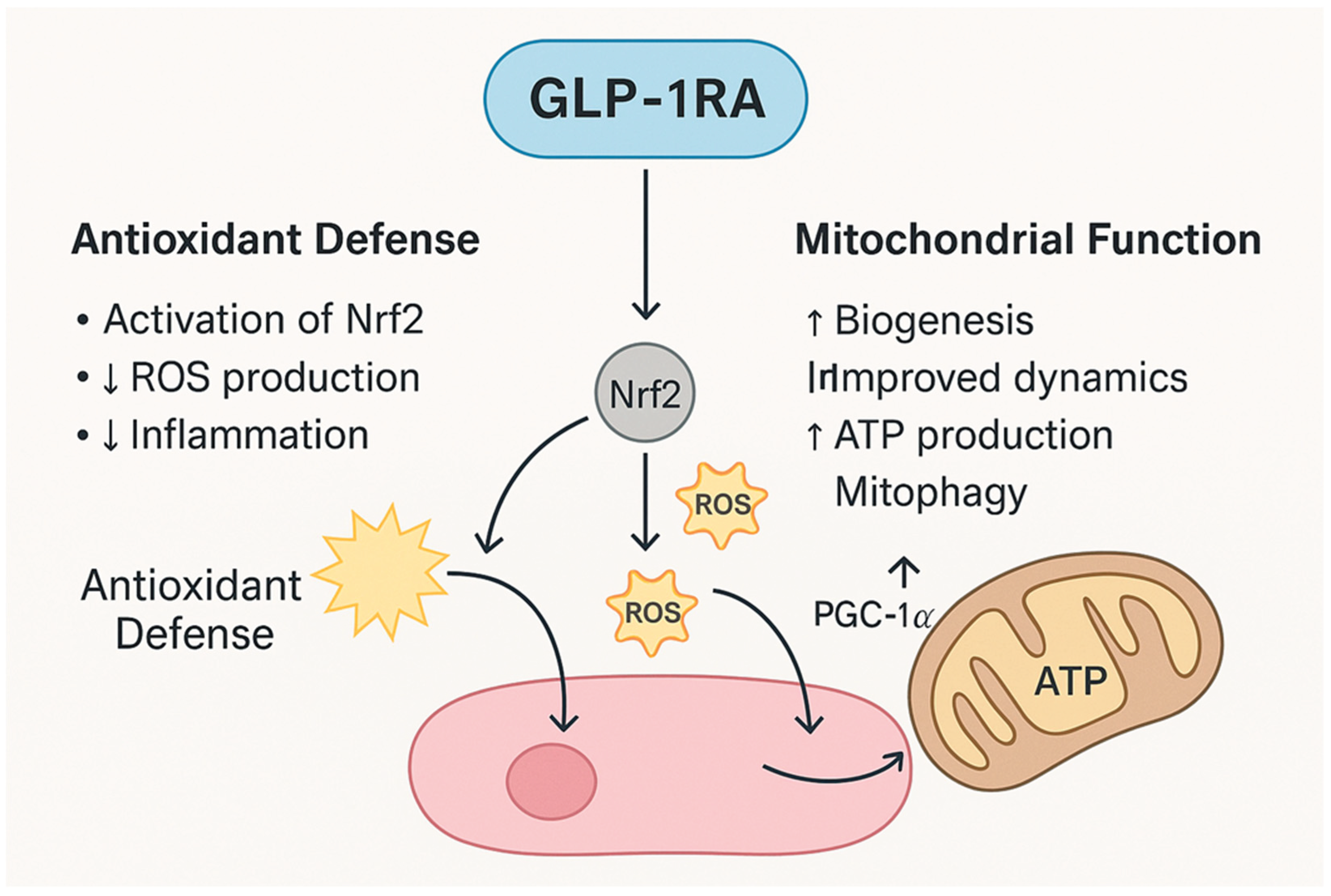 Preprints 193715 g002