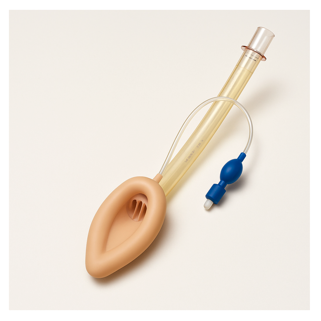 Preprints 162475 g007