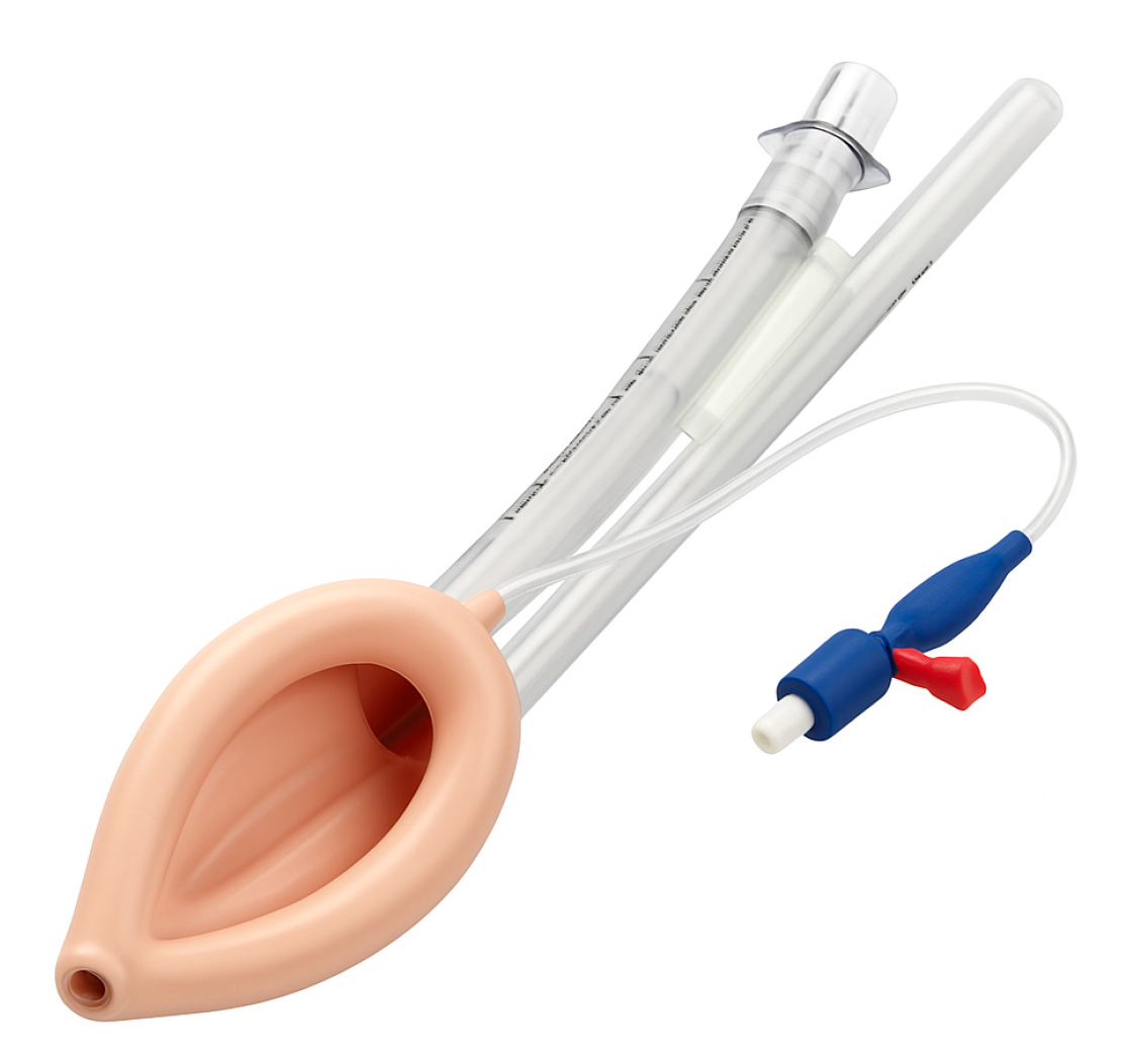 Preprints 162475 g008