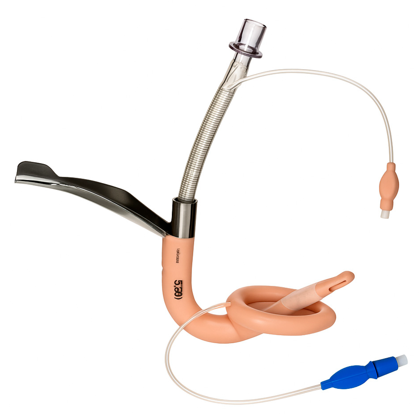 Preprints 162475 g010