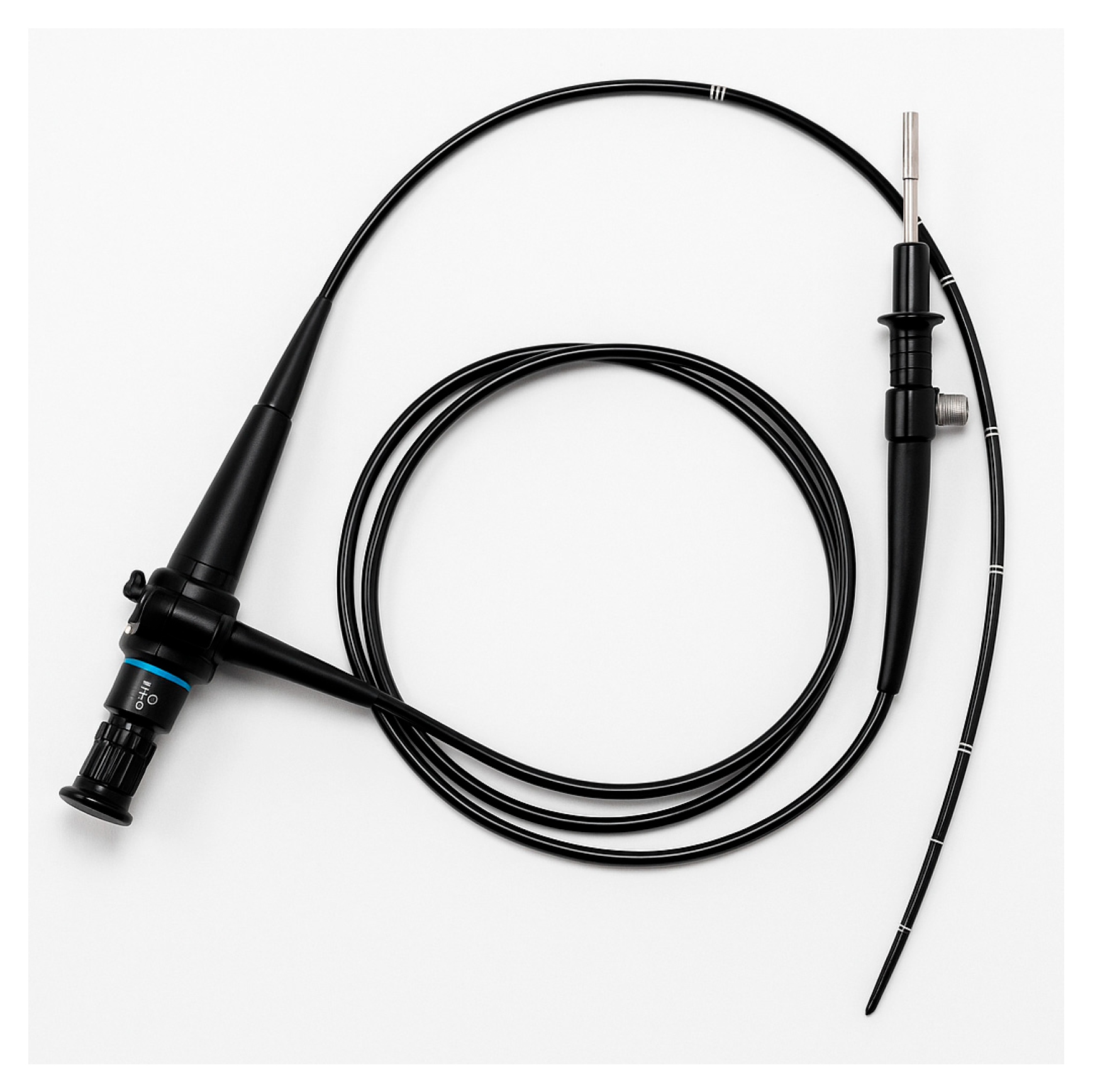 Preprints 162475 g011