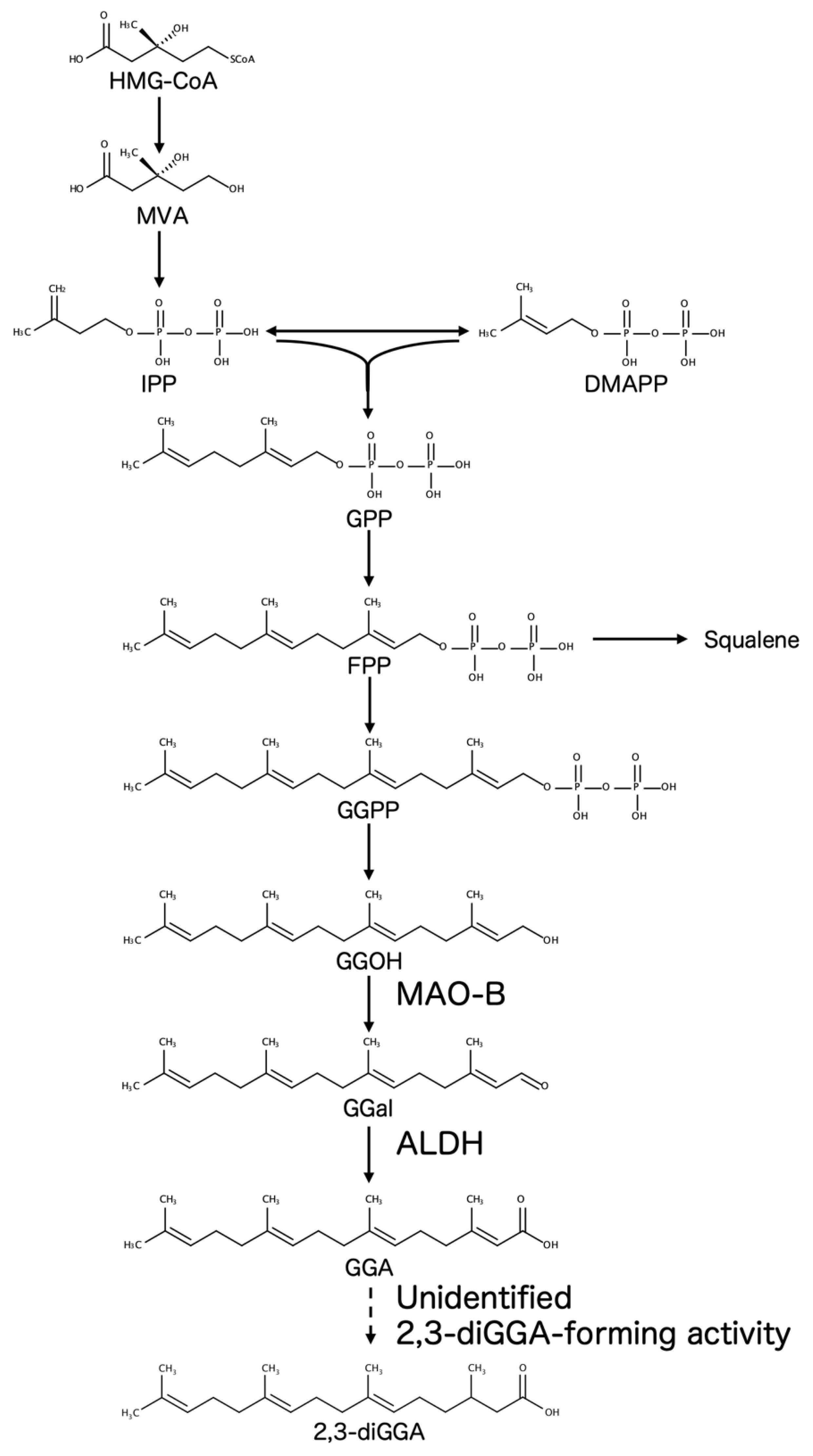Preprints 220353 g001