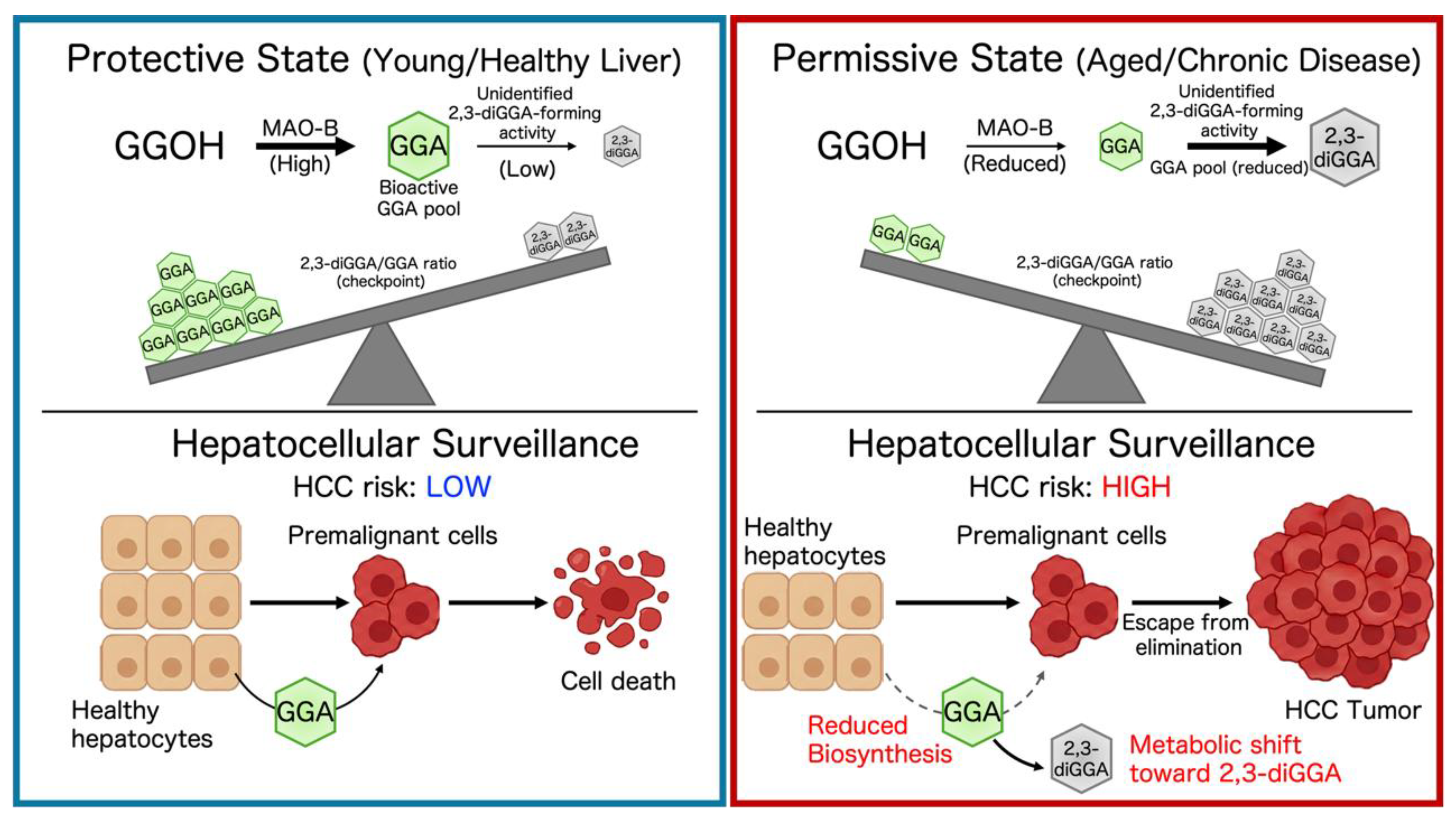 Preprints 220353 g002