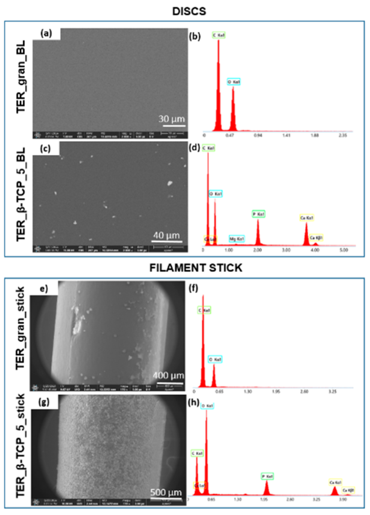 Preprints 141537 g004