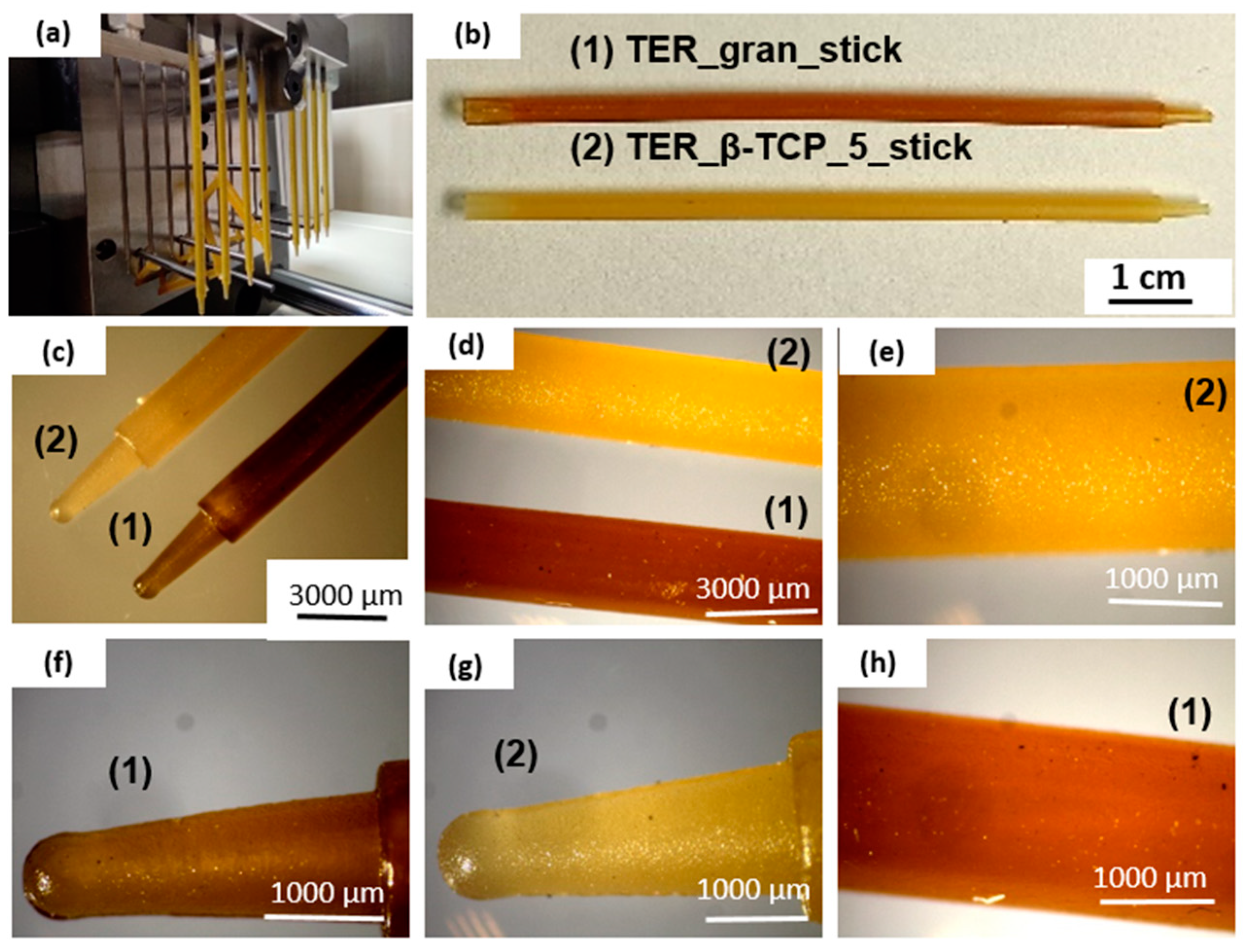 Preprints 141537 g005