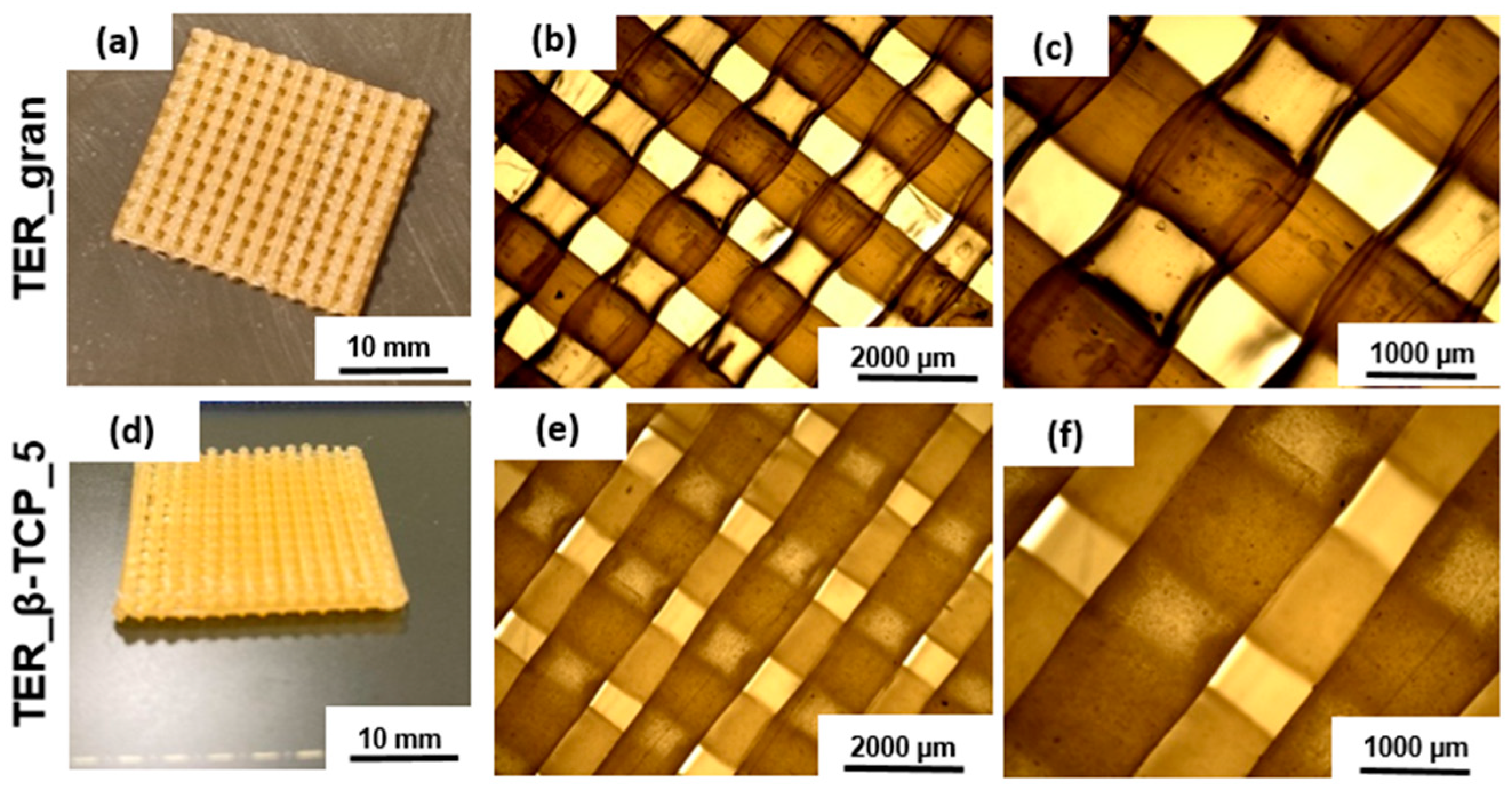 Preprints 141537 g006