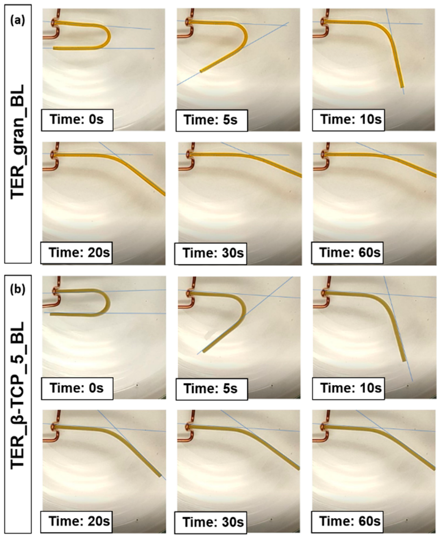 Preprints 141537 g013
