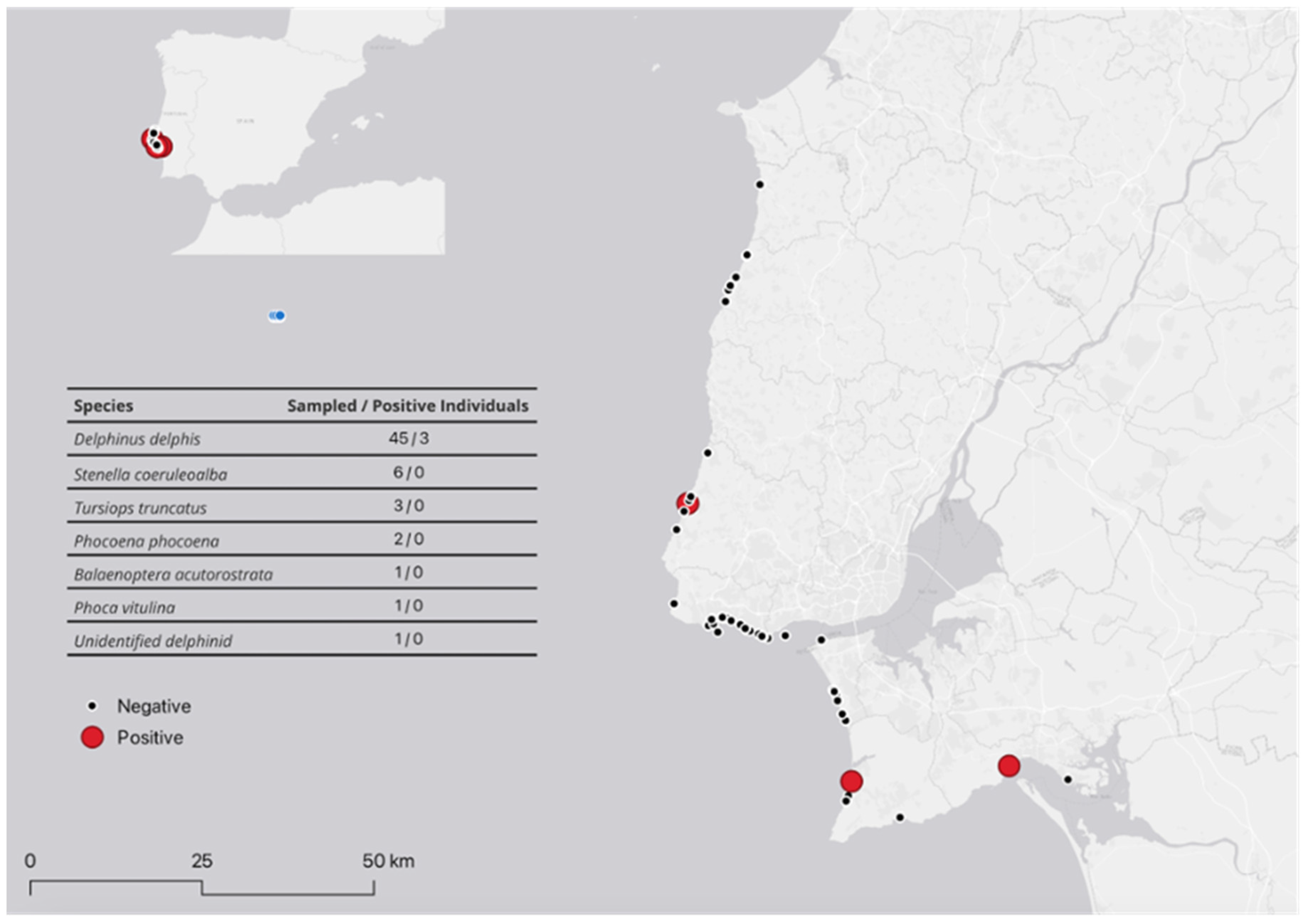 Preprints 142121 g001