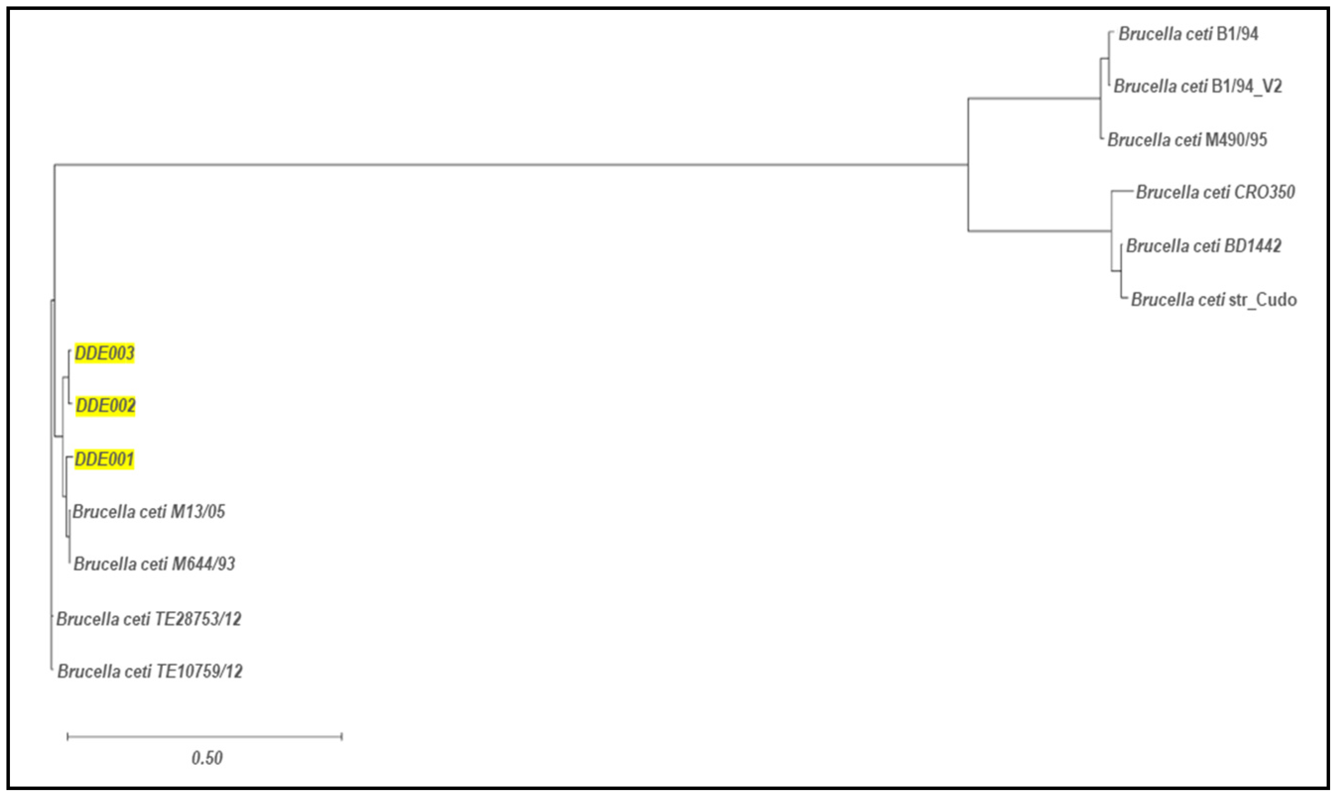 Preprints 142121 g002