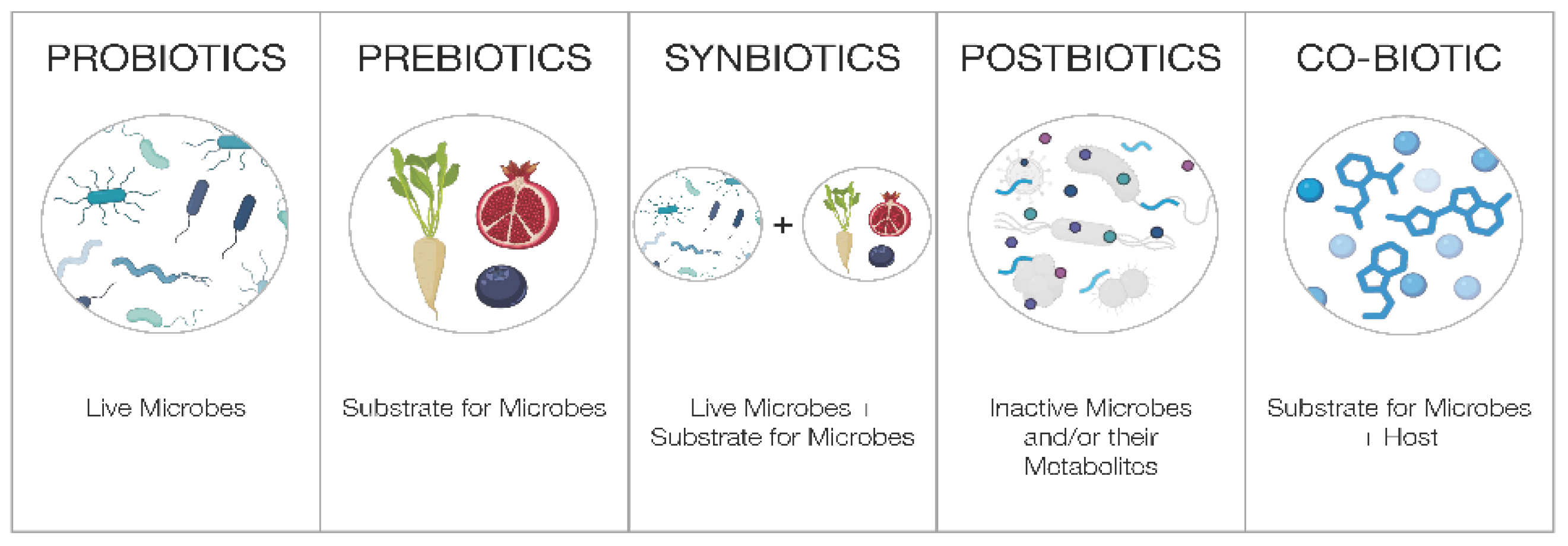 Preprints 178115 g001
