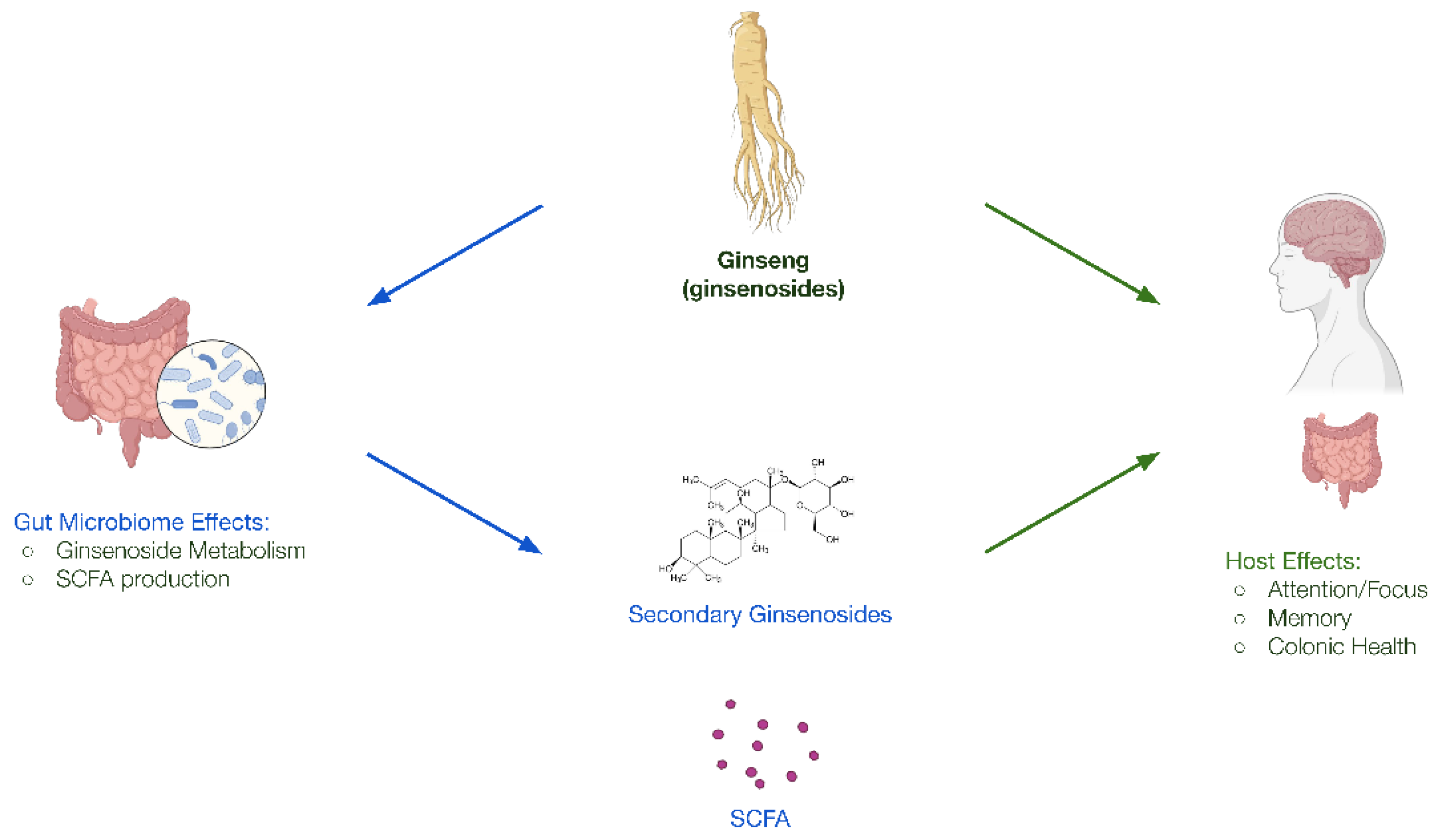 Preprints 178115 g002