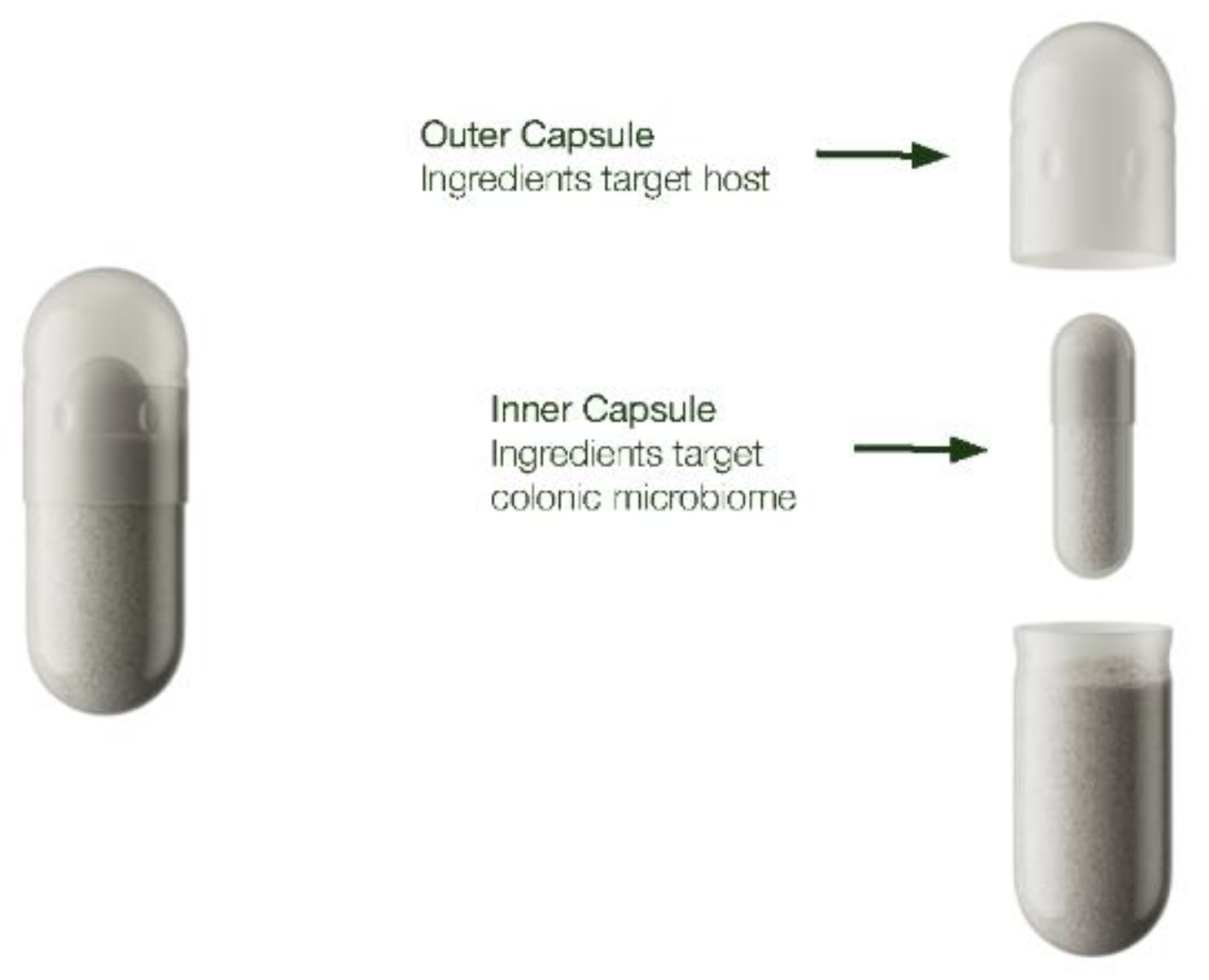 Preprints 178115 g003