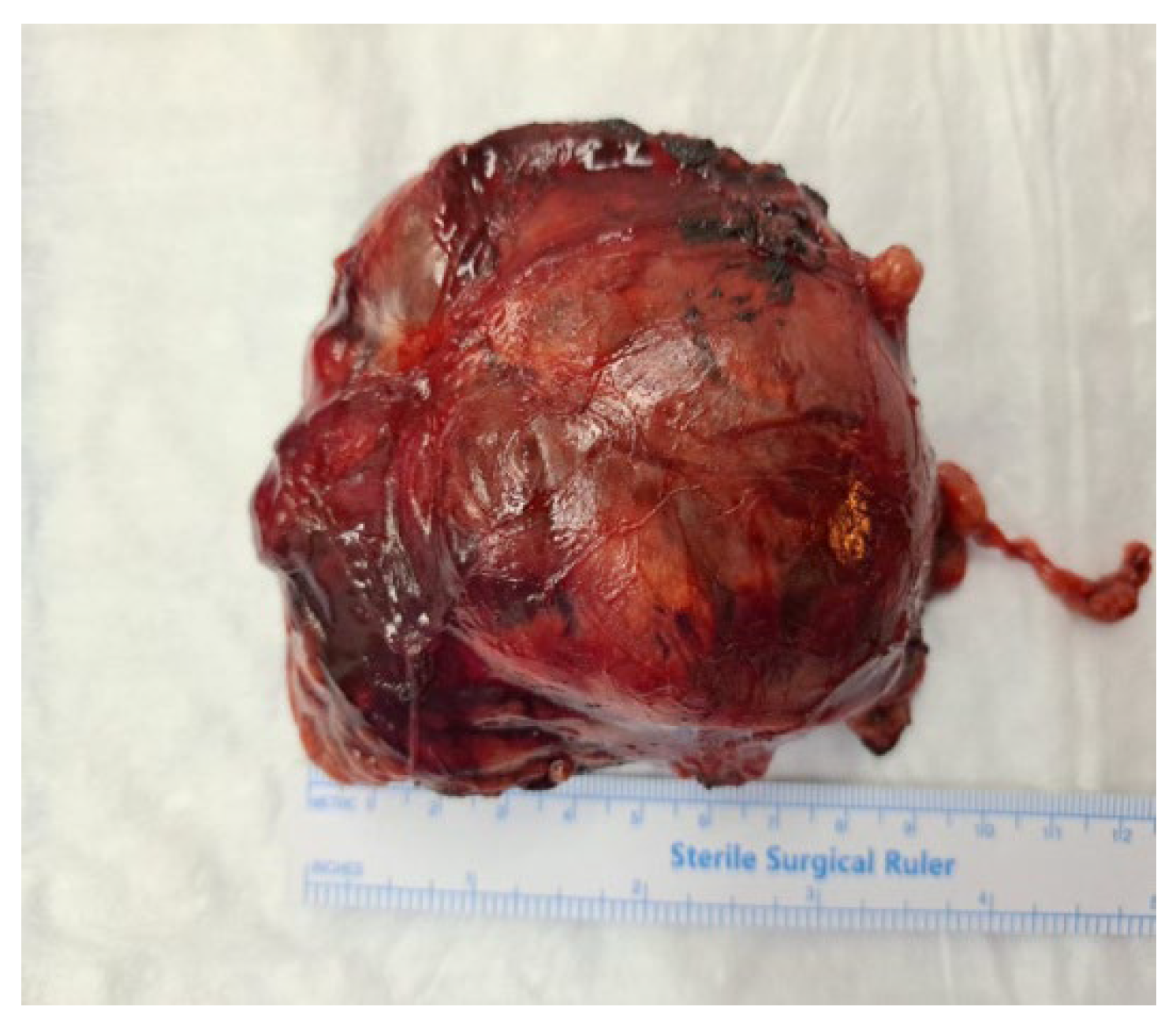 Preprints 171253 g001