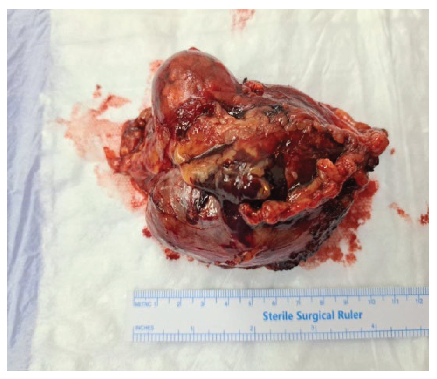 Preprints 171253 g002