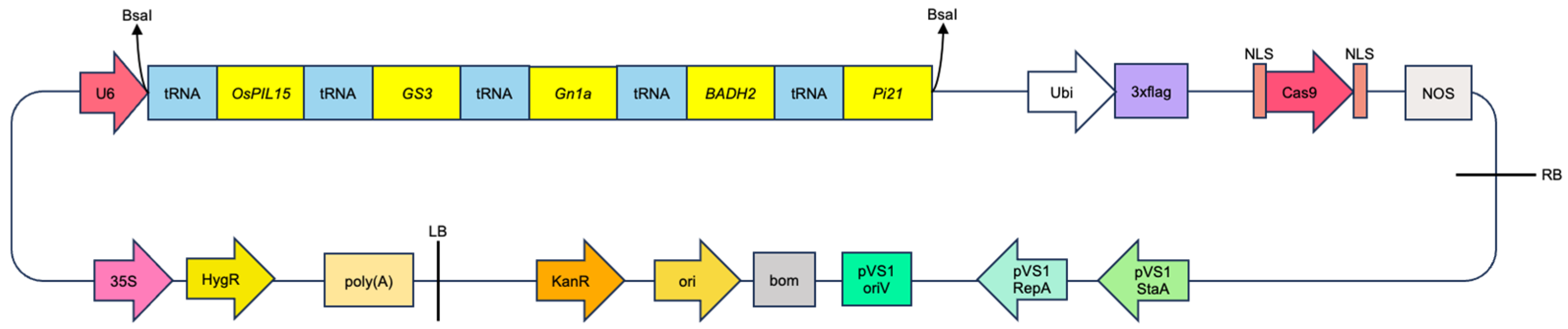 Preprints 189438 g002
