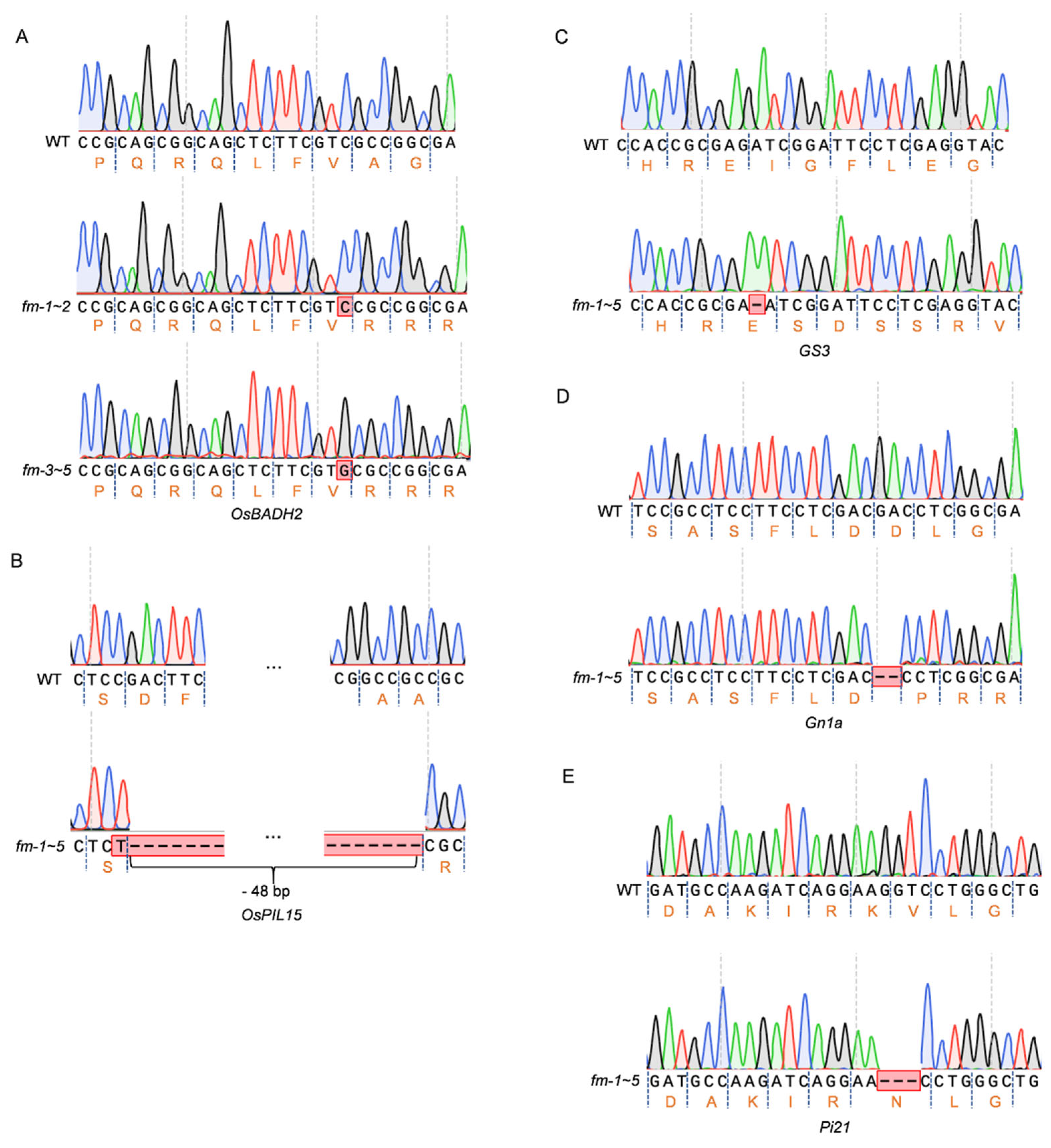 Preprints 189438 g004