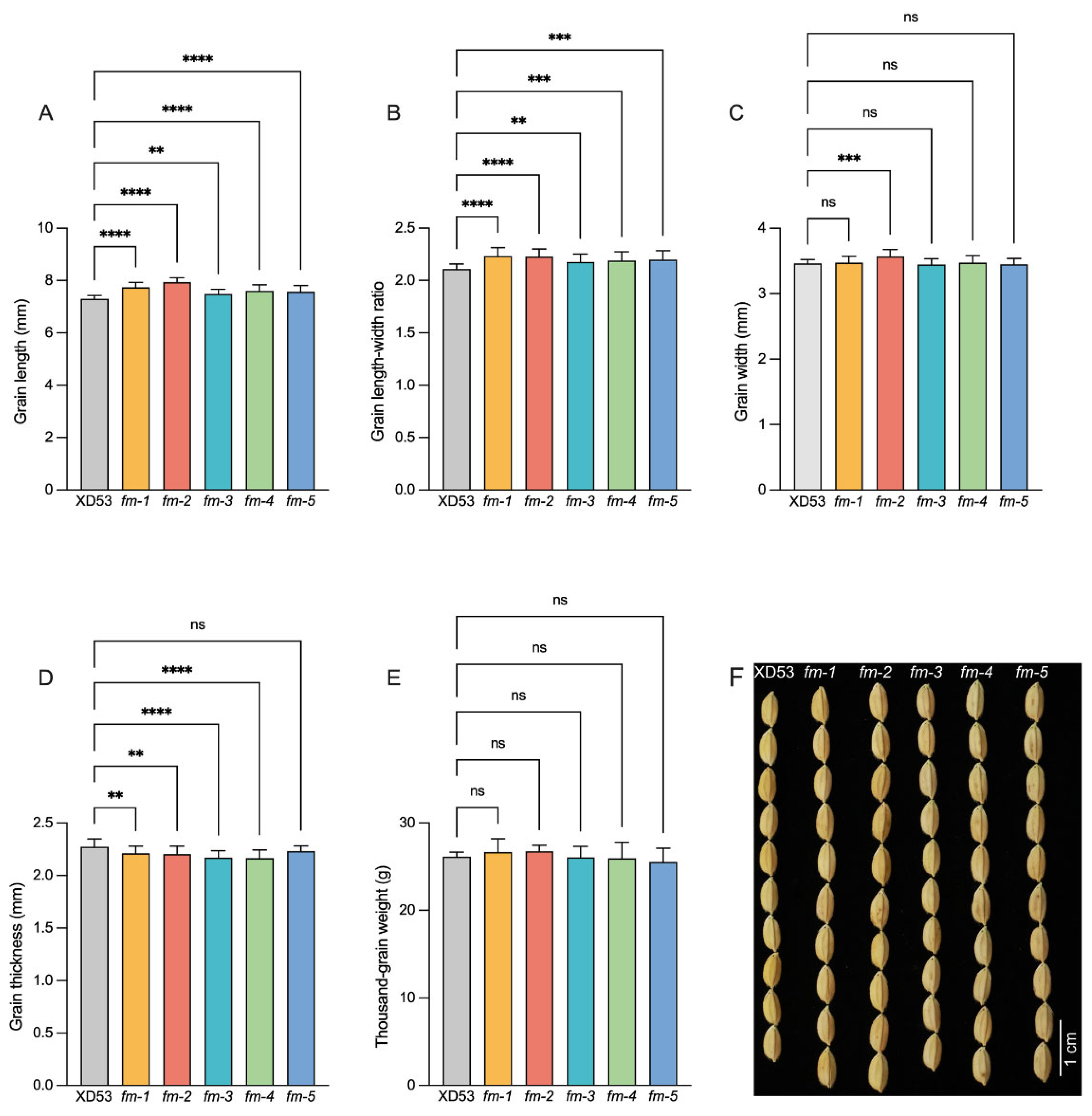 ん Multiplex Gene Editing and Effect Analysis of Yield, Fragrance