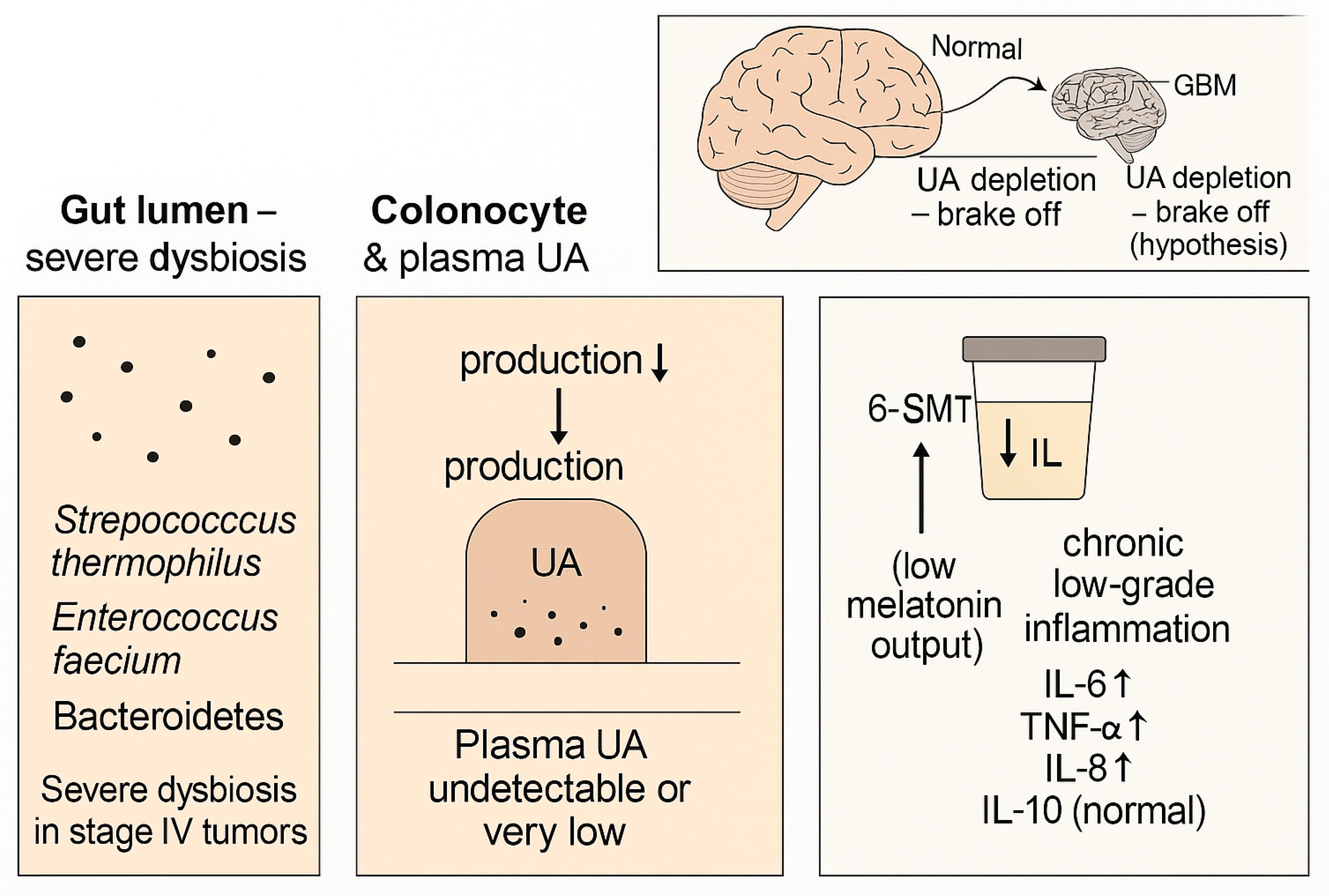 Preprints 189742 g004