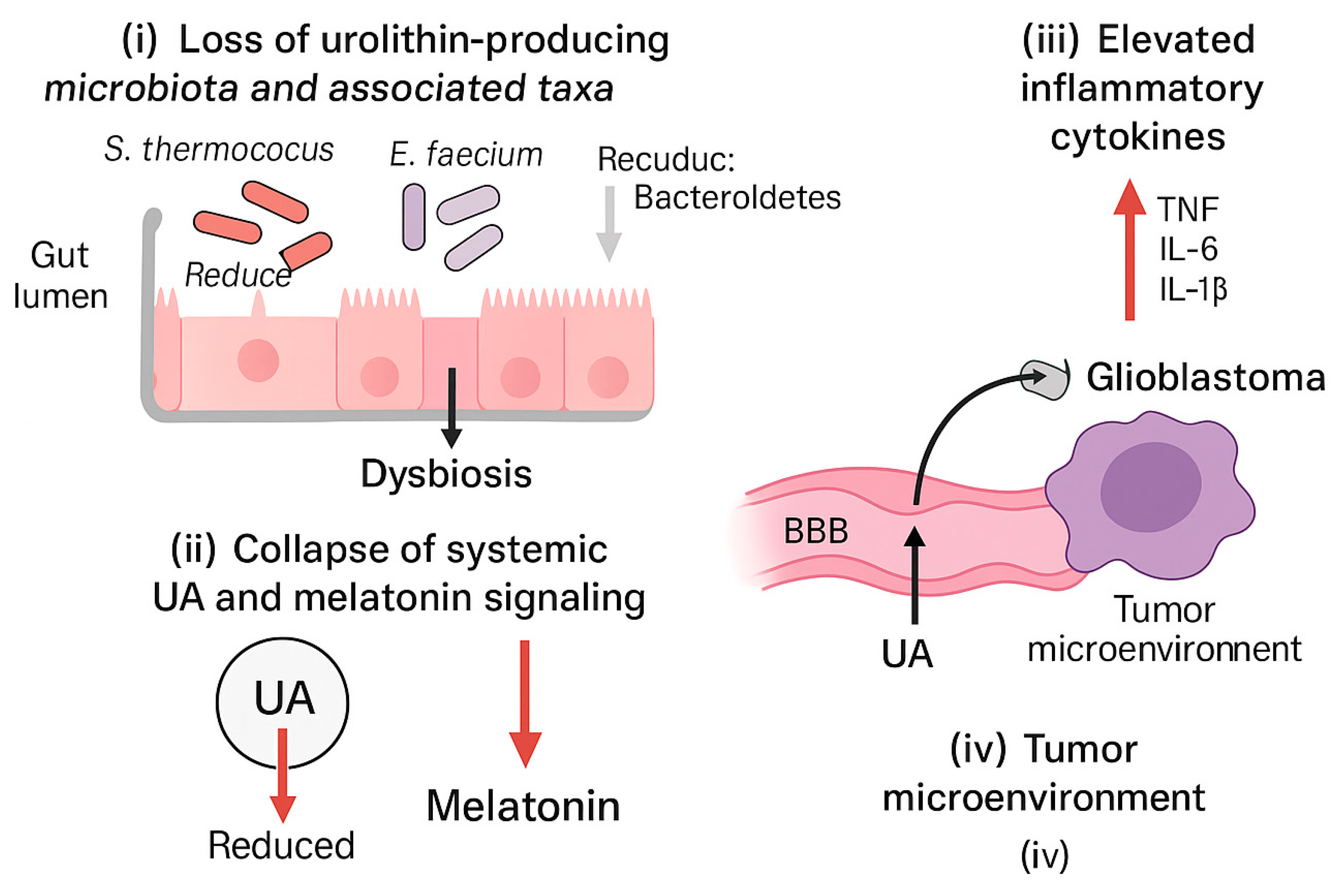 Preprints 189742 g005
