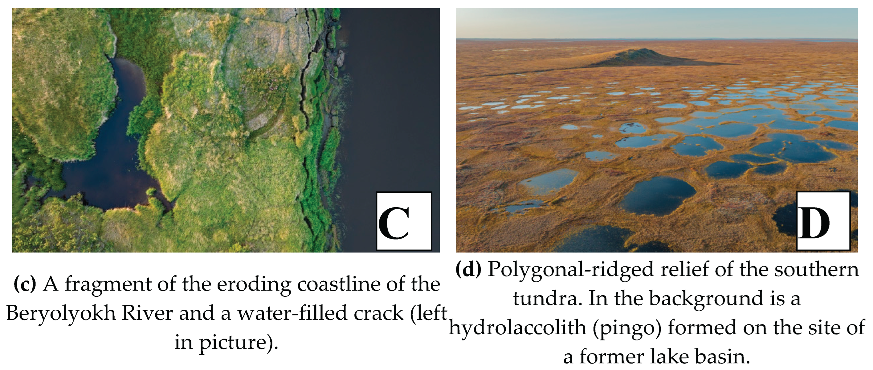 Preprints 169363 g002b