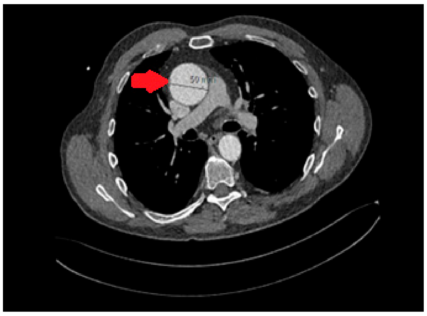 Preprints 153744 g001
