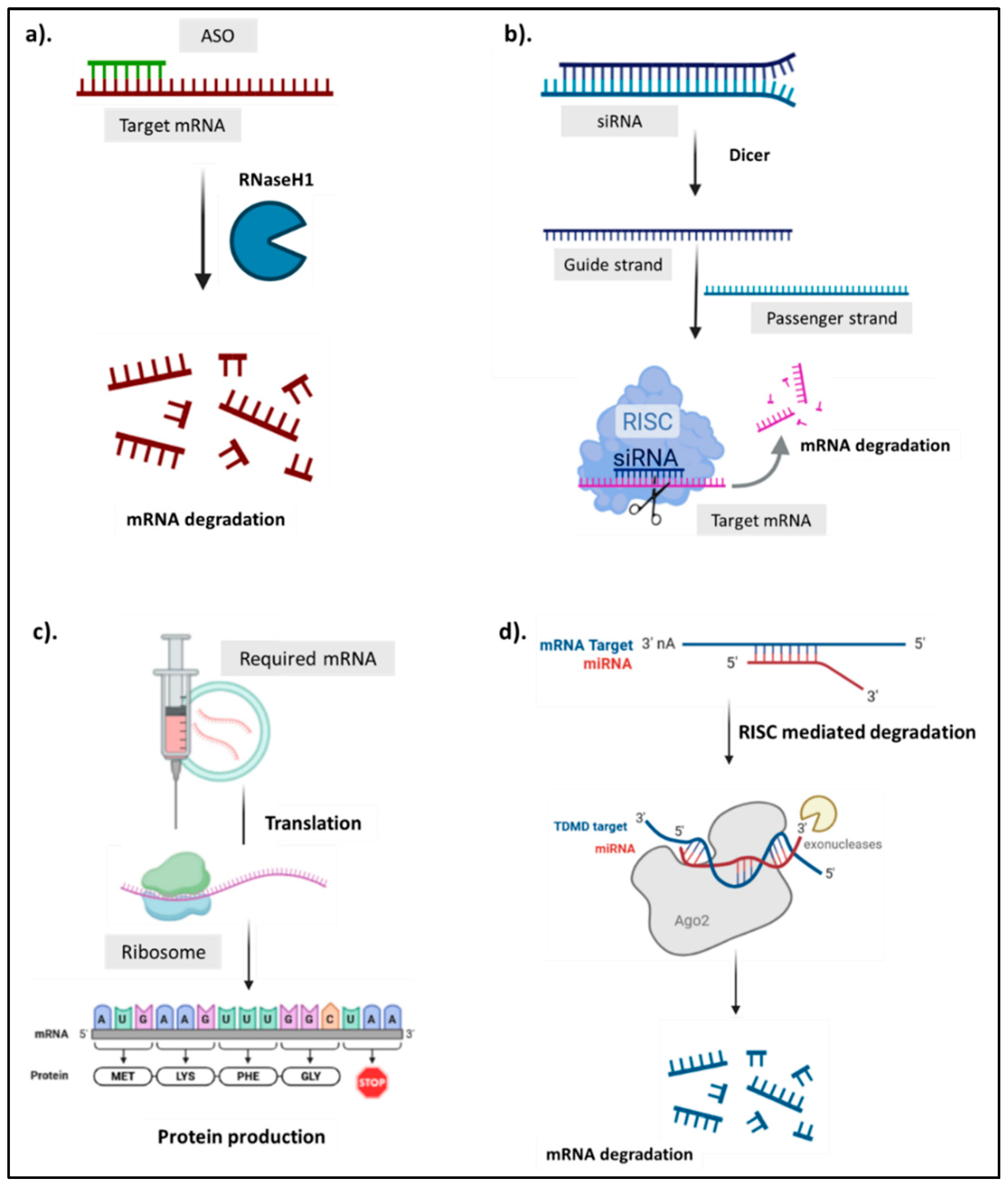 Preprints 155395 g001