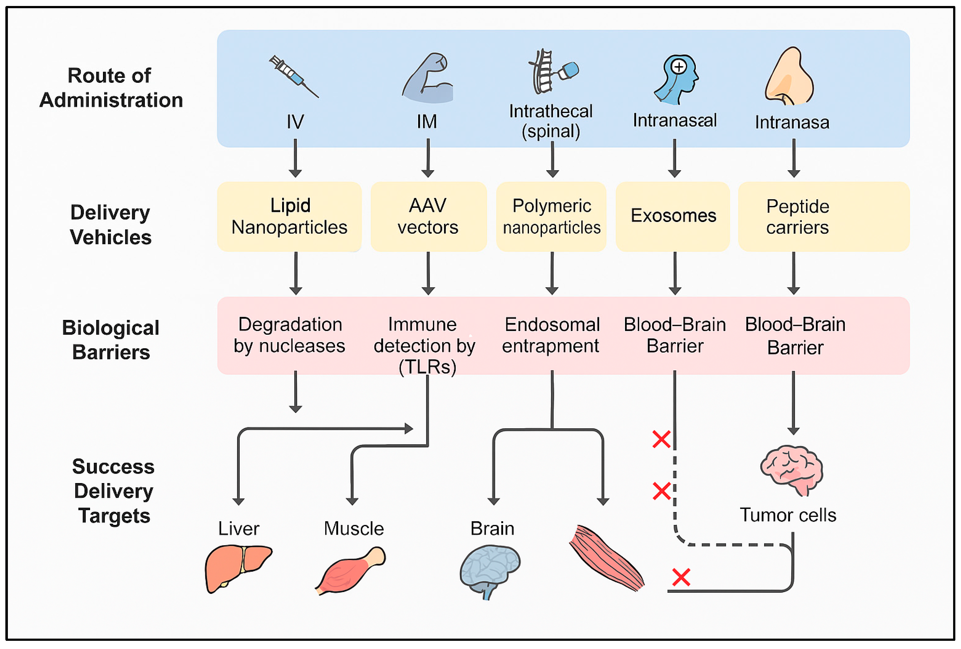 Preprints 155395 g002