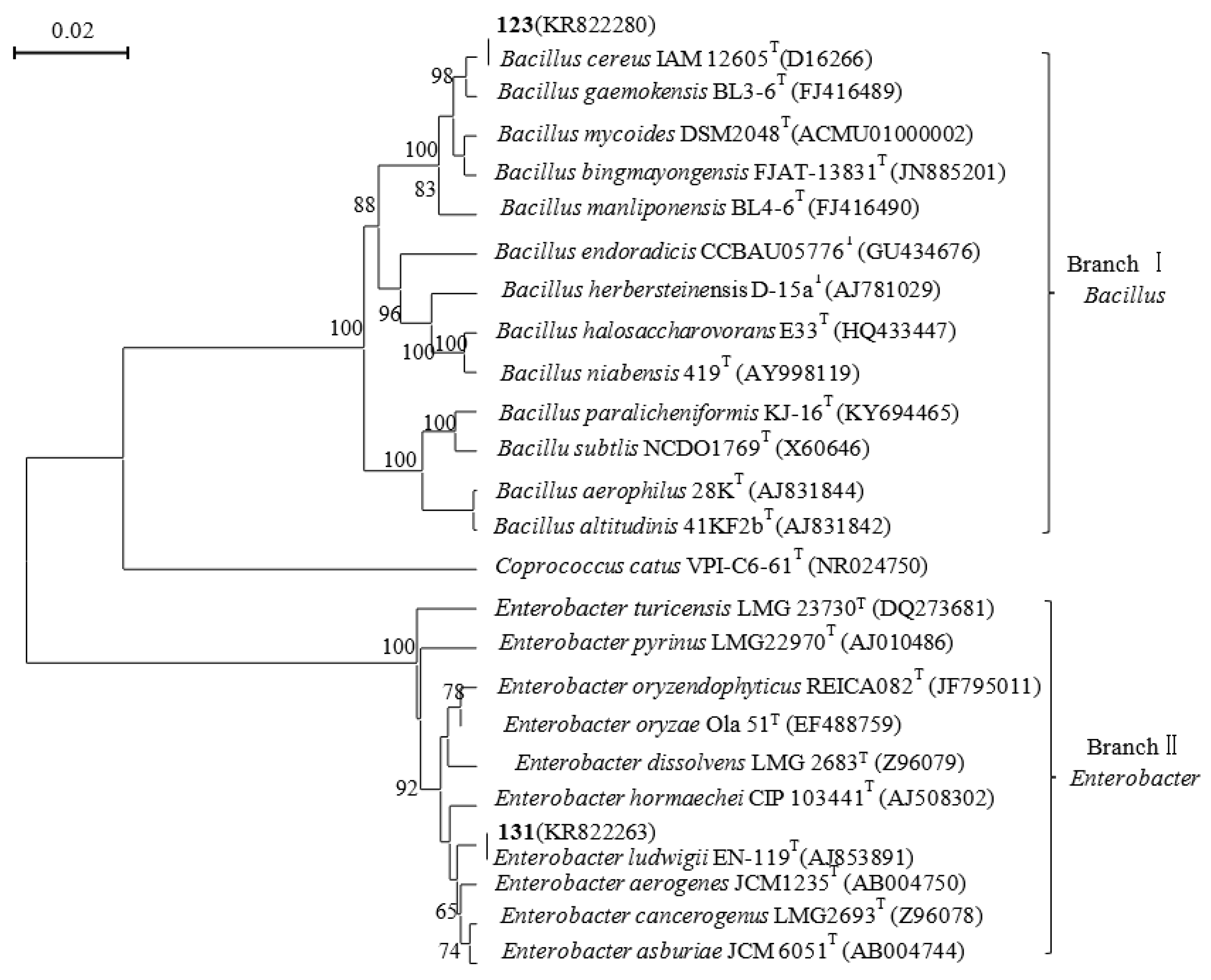Preprints 145890 g001