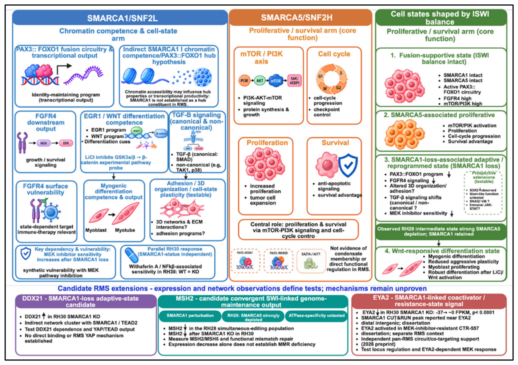 Preprints 233594 g001 Preprints 233594 g001